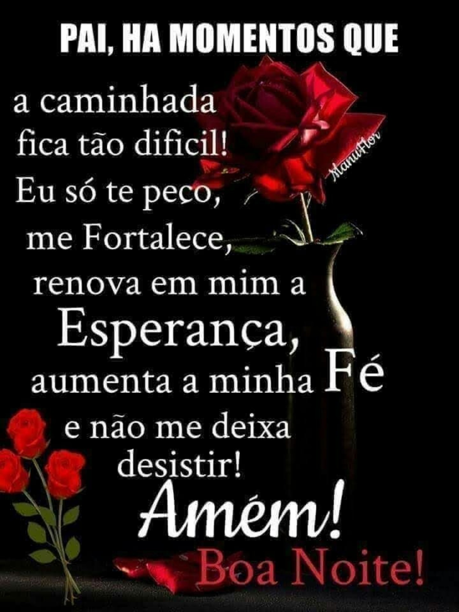 Boa Noite fotos 1055