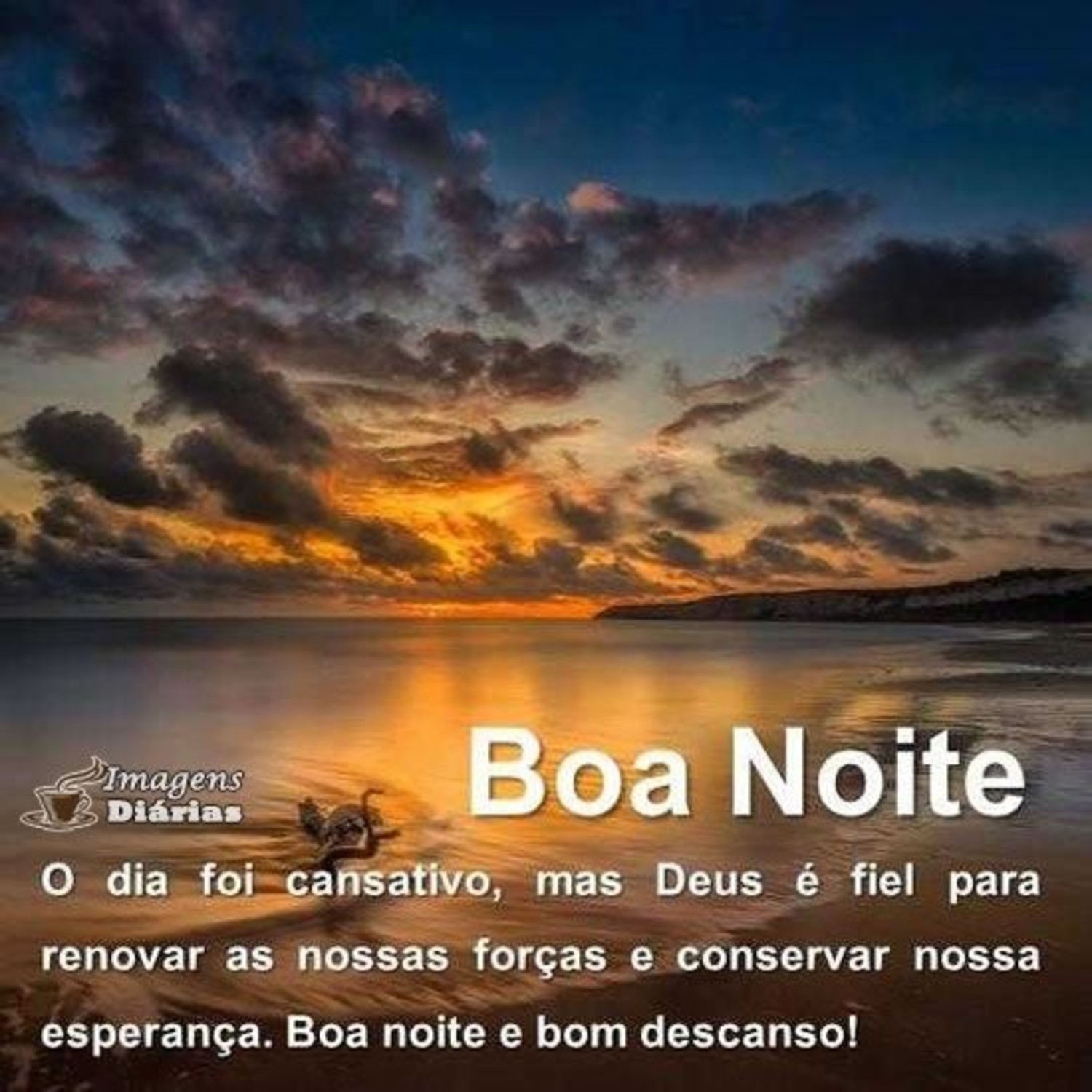 Boa Noite frases 1069