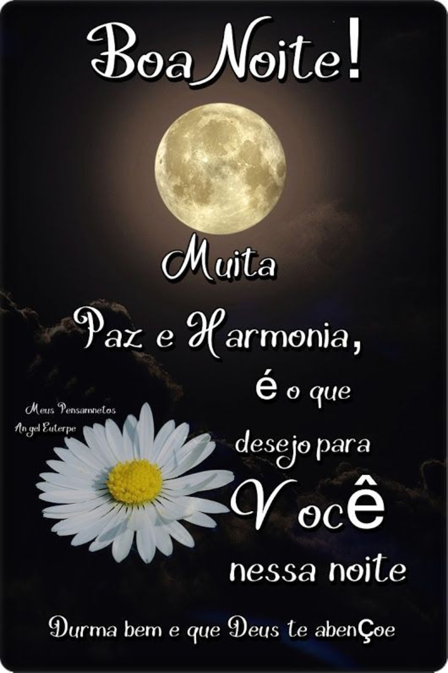 Boa Noite frases 1070