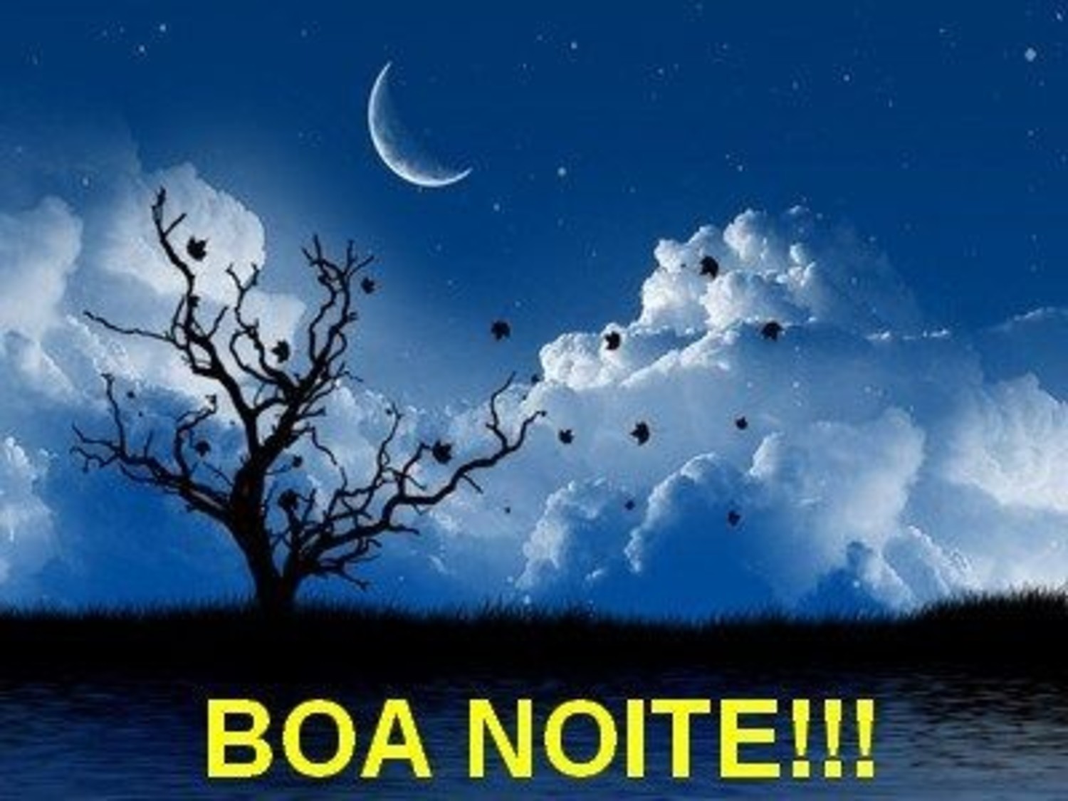 Boa Noite imagem 572