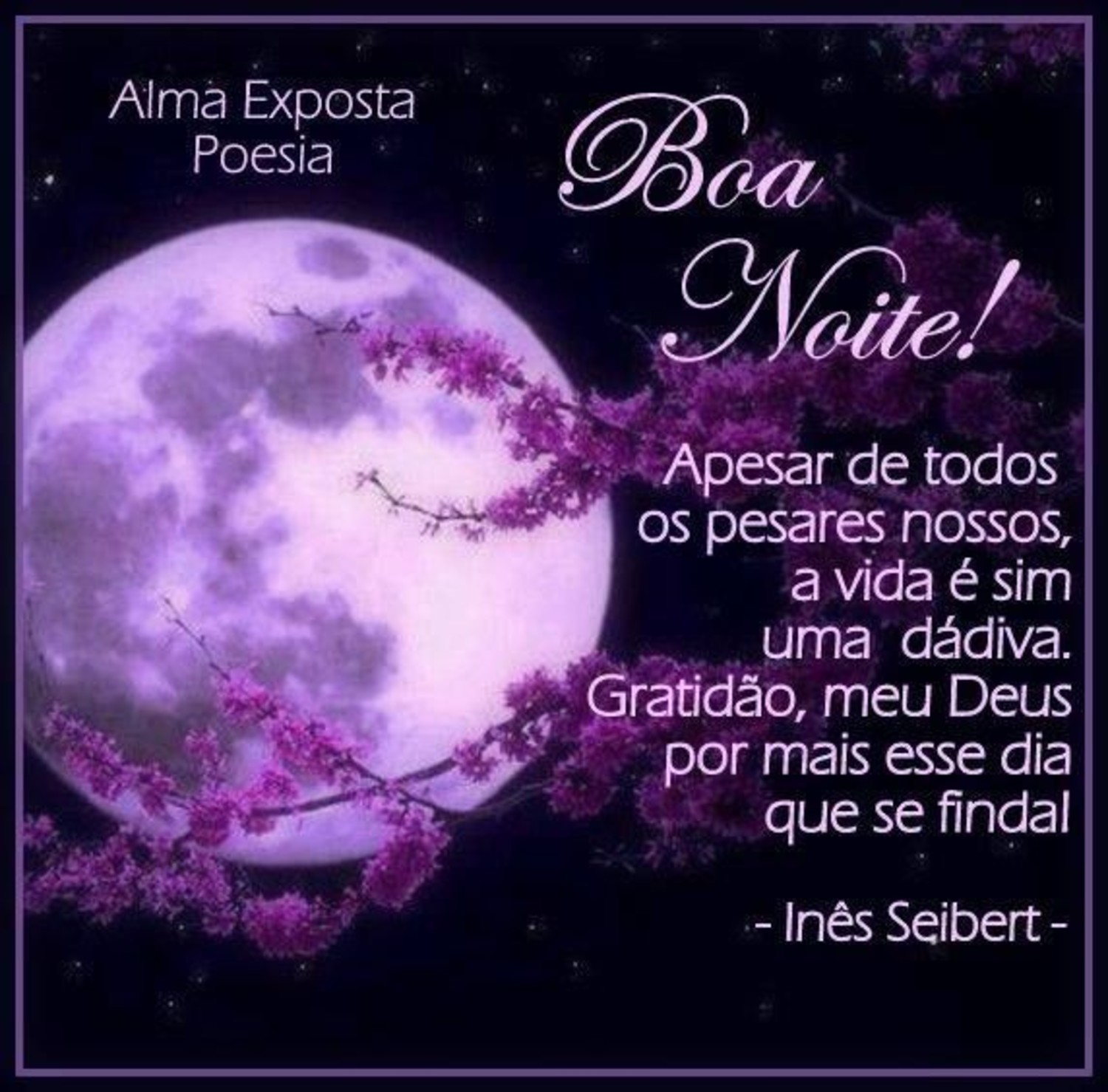 Boa Noite imagem 574