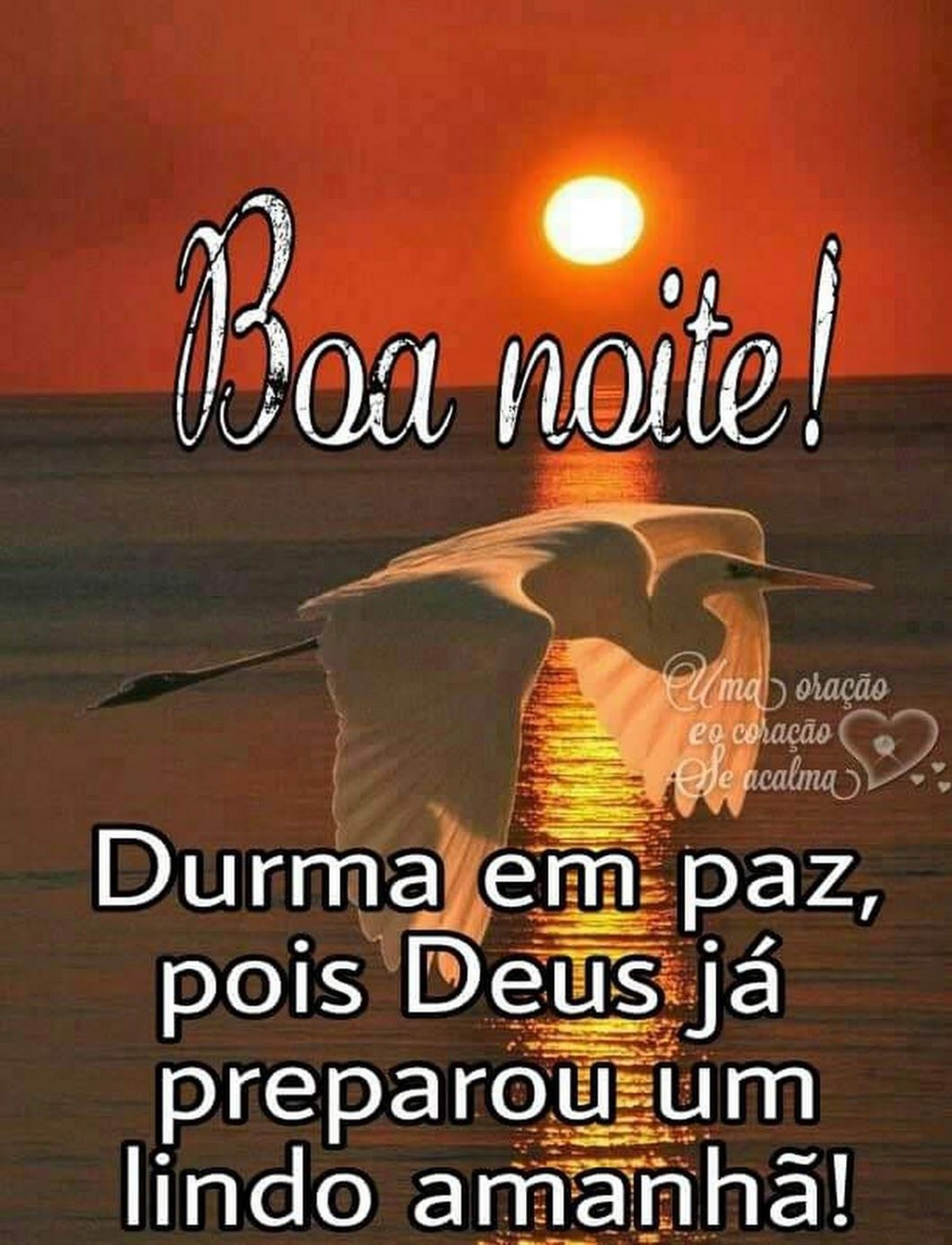 Boa Noite imagem 575