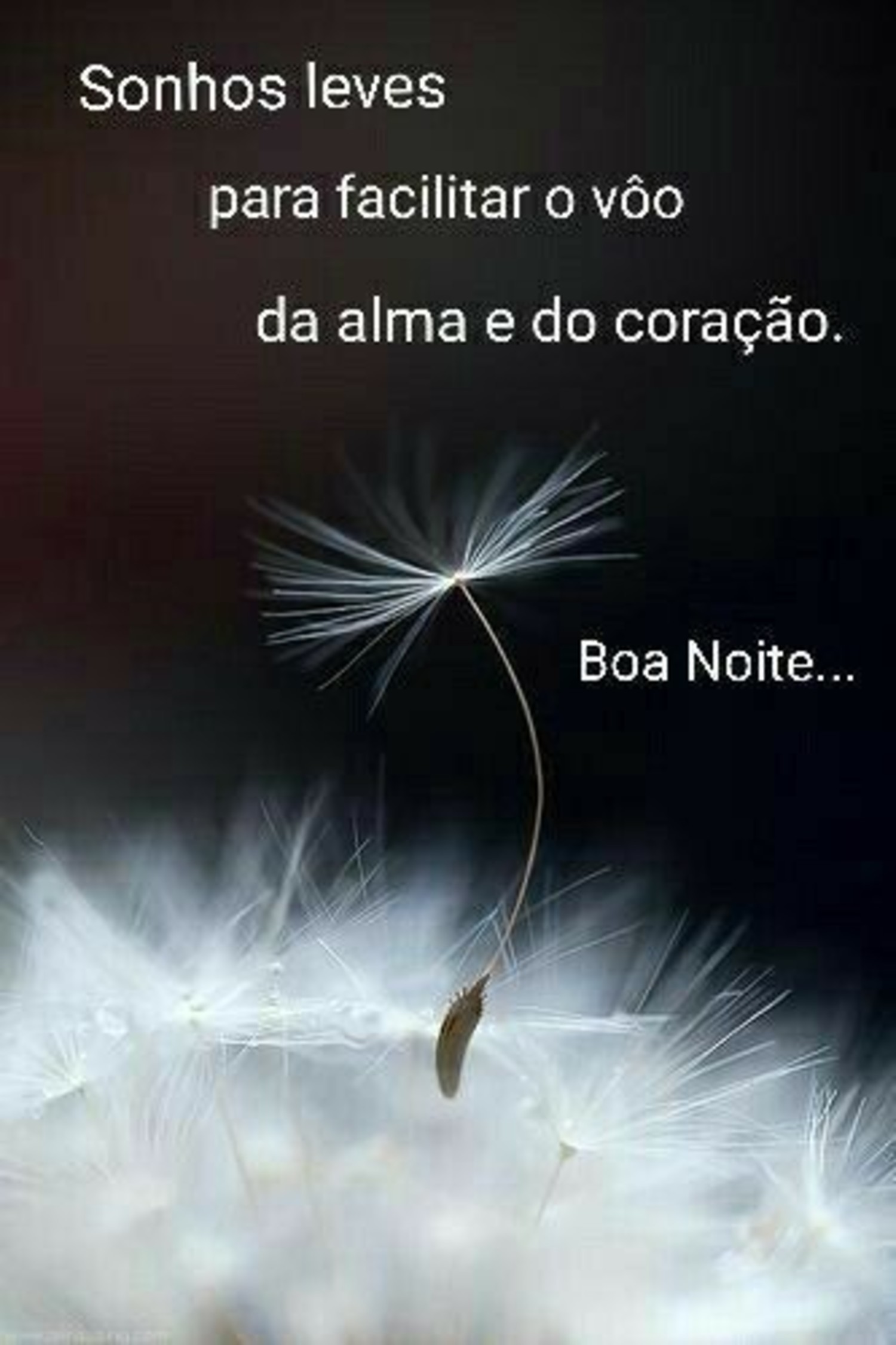 Boa Noite linda 649