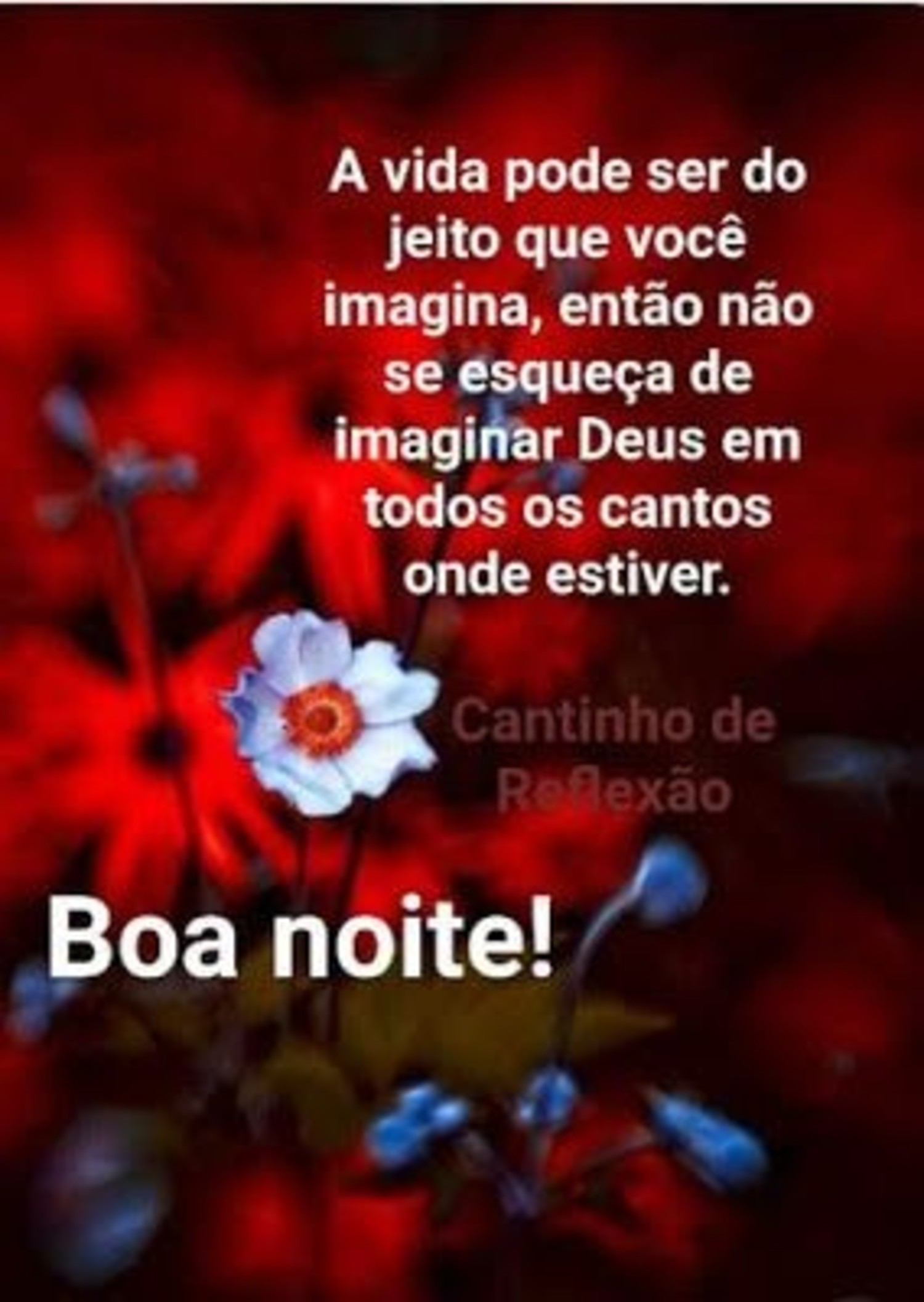 Boa Noite linda 651