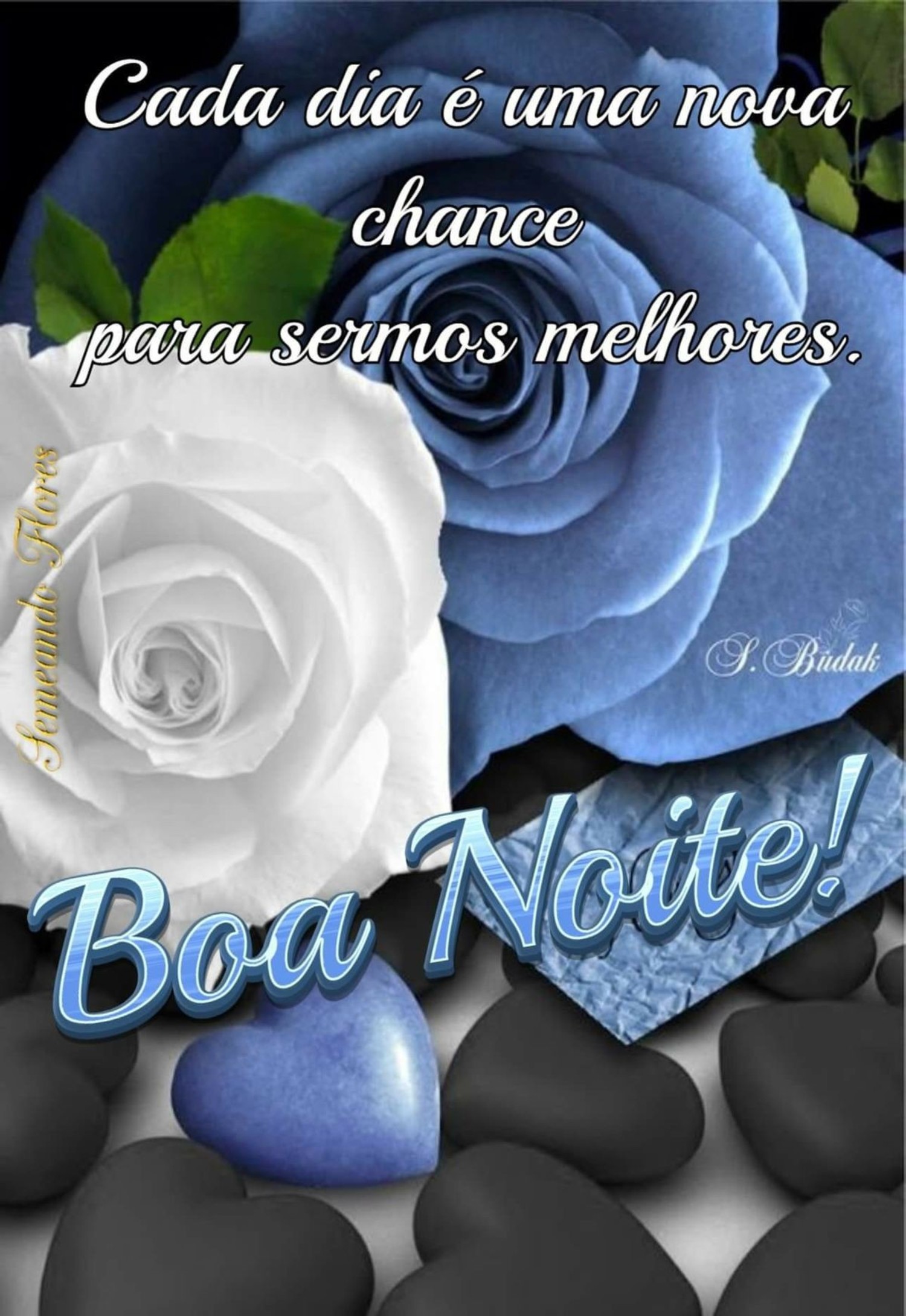 Boa Noite mensagem 582