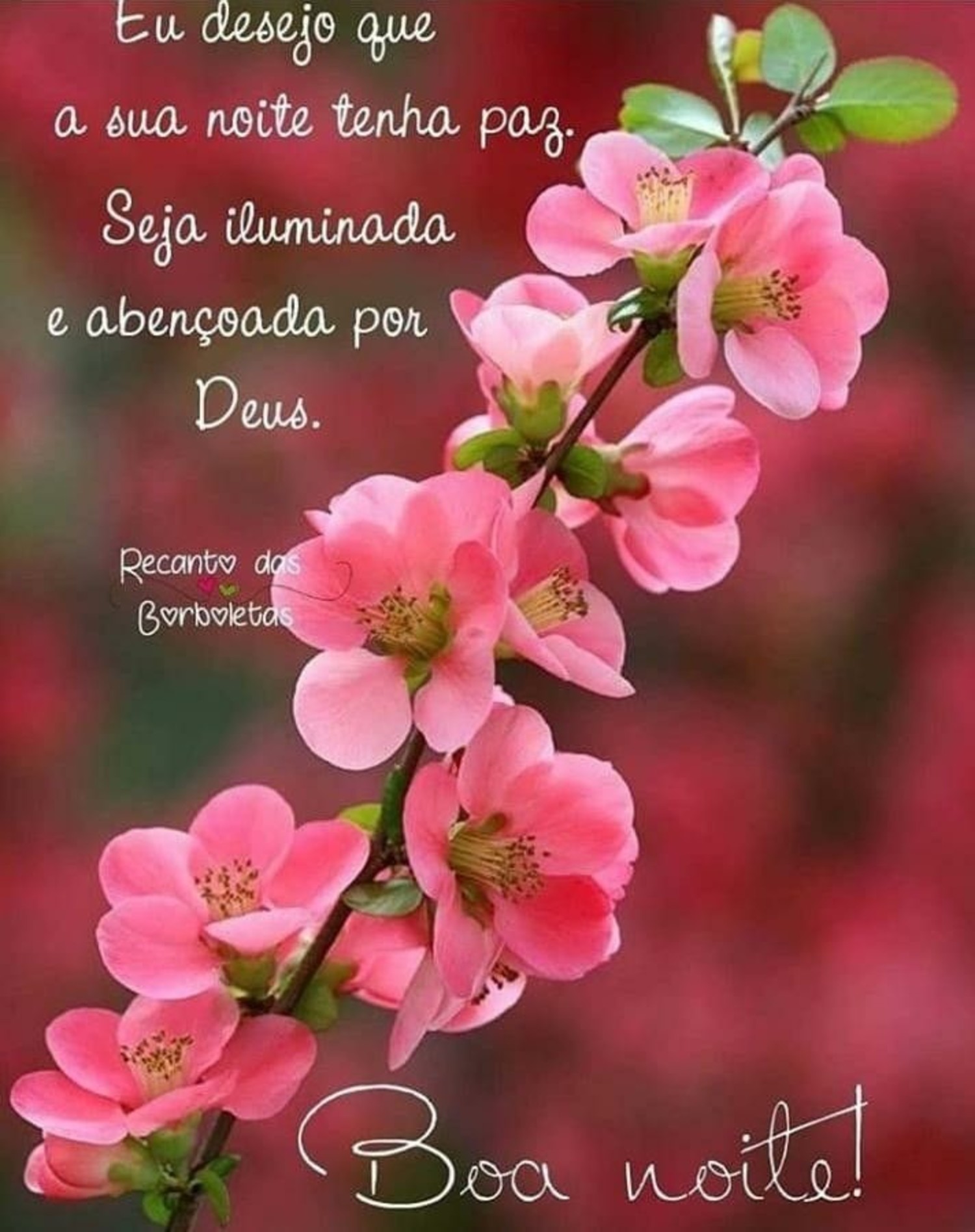 Boa Noite primavera WhatsApp imagens 1000 Boa Noite primavera WhatsApp imagens 1000