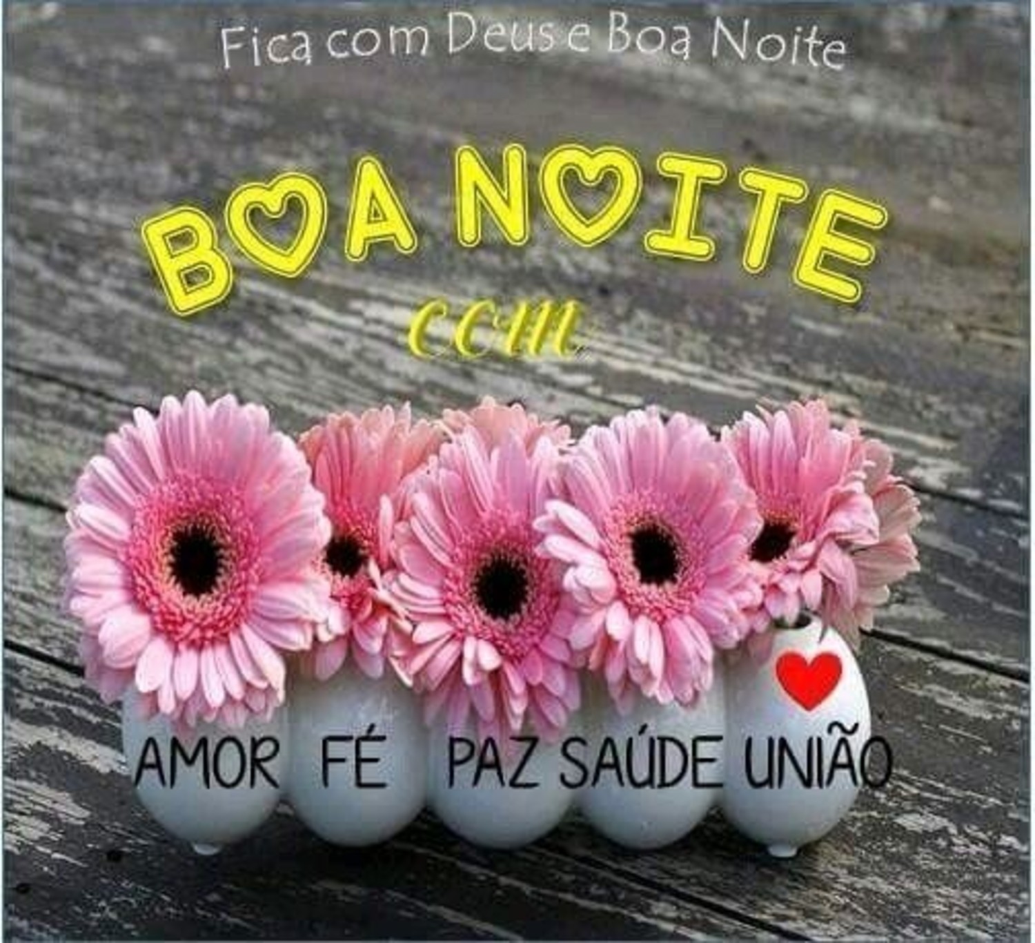 Boa Noite primavera WhatsApp imagens 595