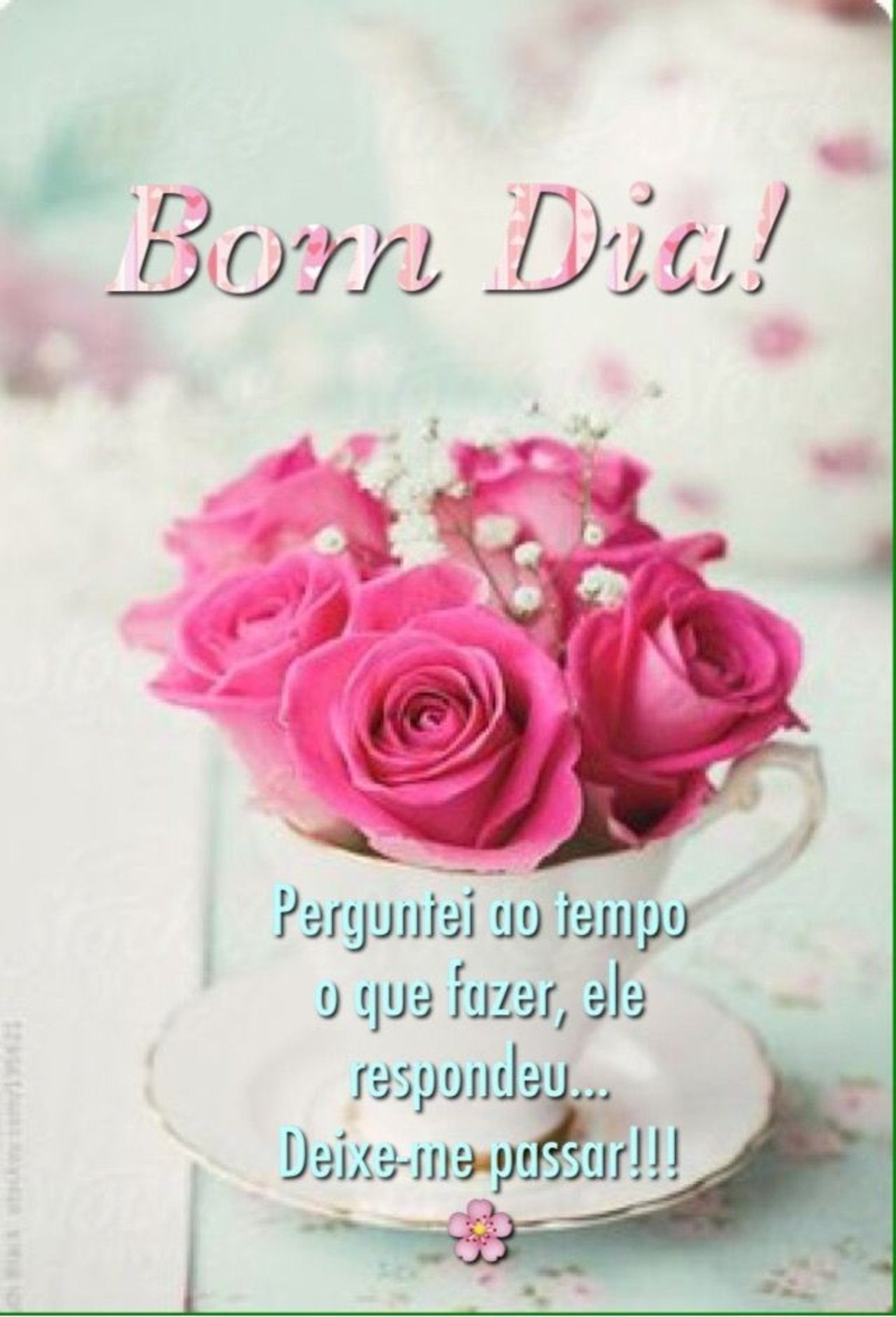 Bom Dia 1009