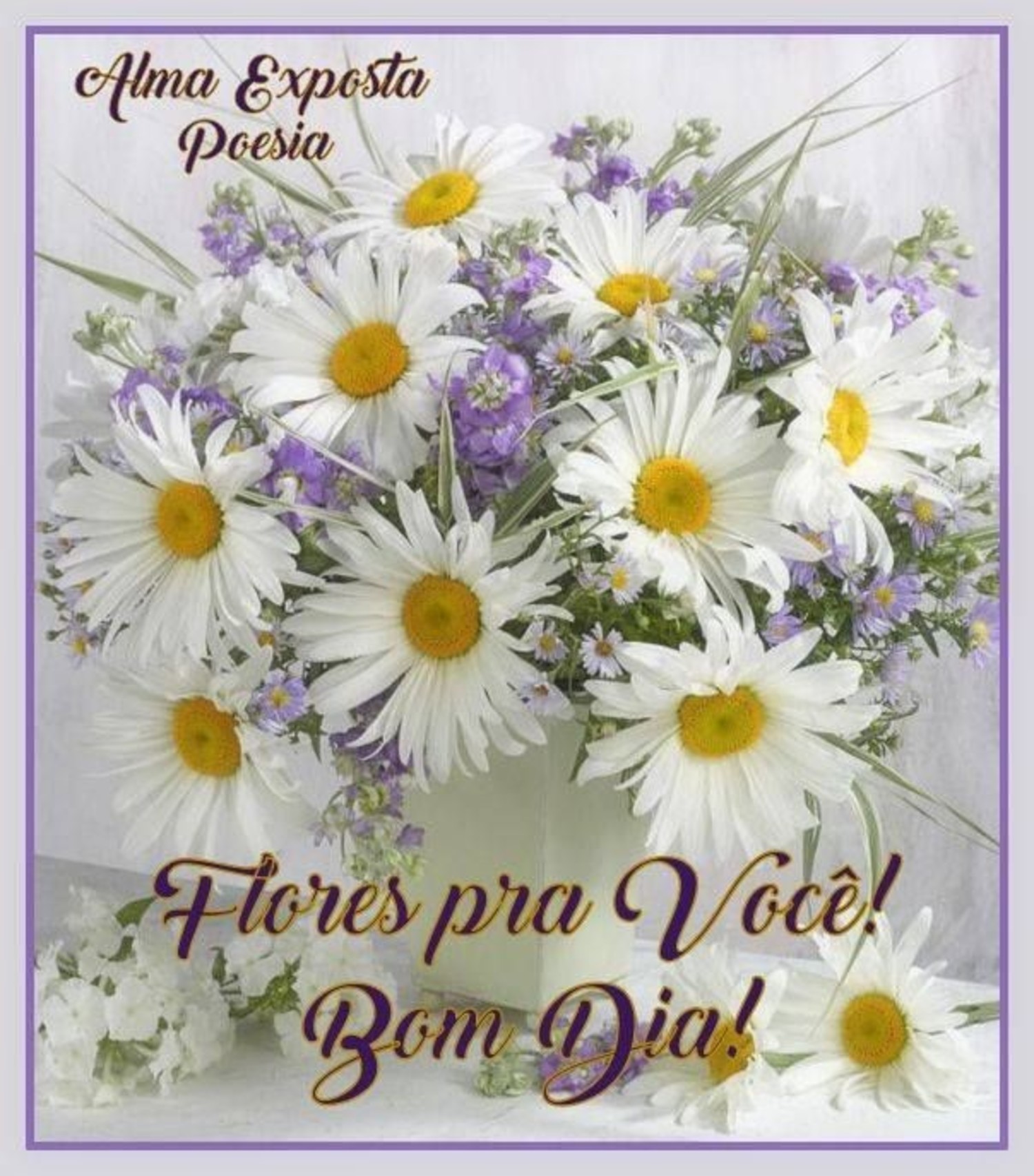 Bom Dia Facebook 579