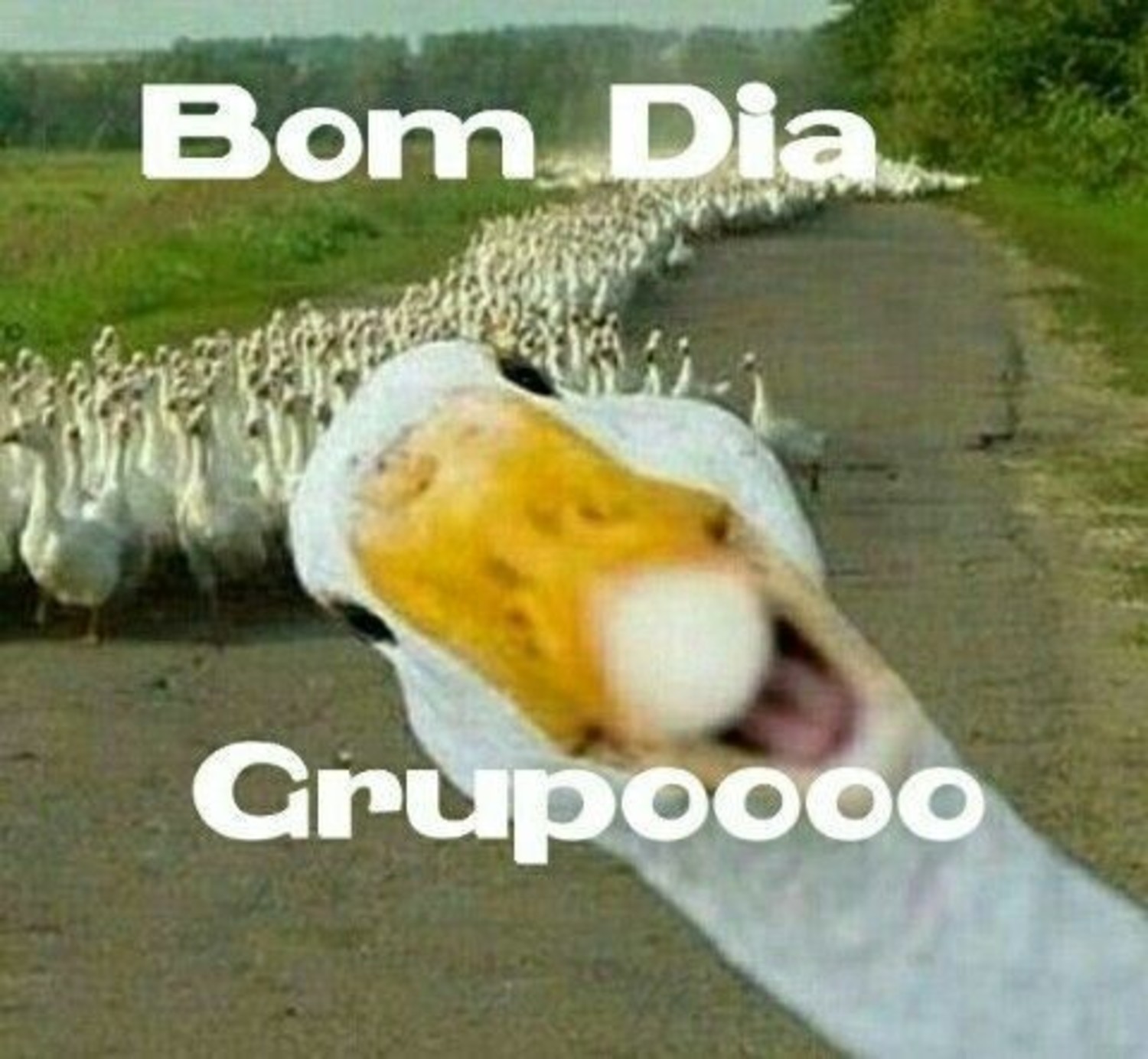Bom Dia Grupo 674 Bom Dia Grupo 674