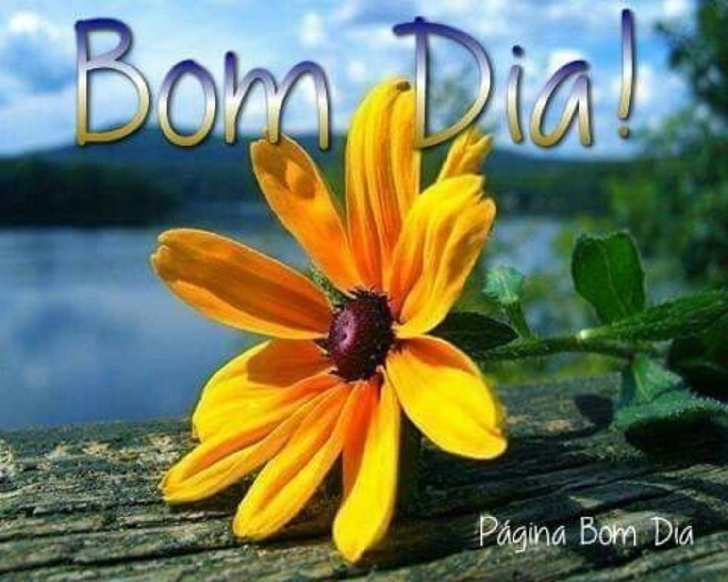 Bom Dia Grupo 715