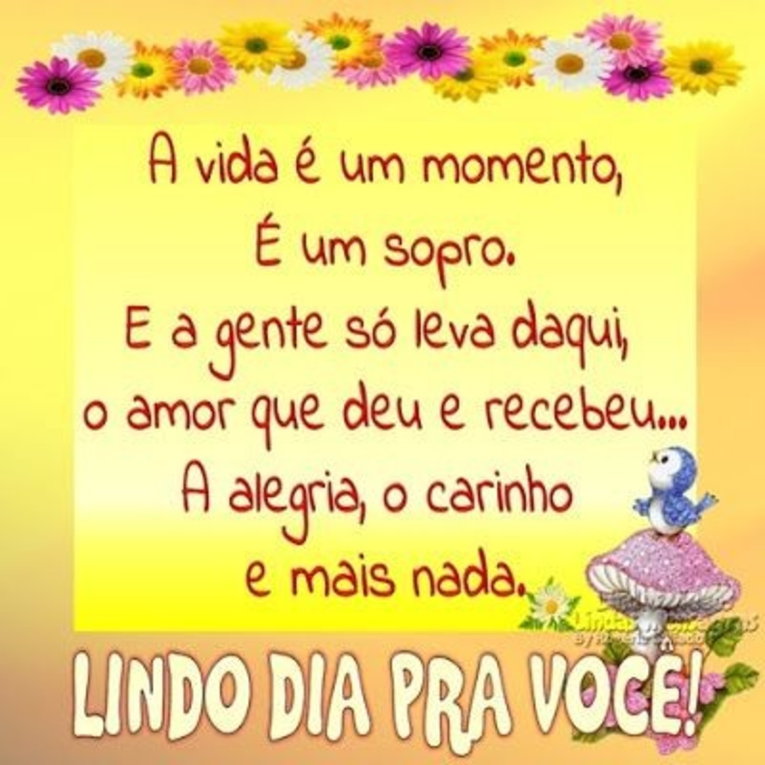 Bom Dia Imagens 1019