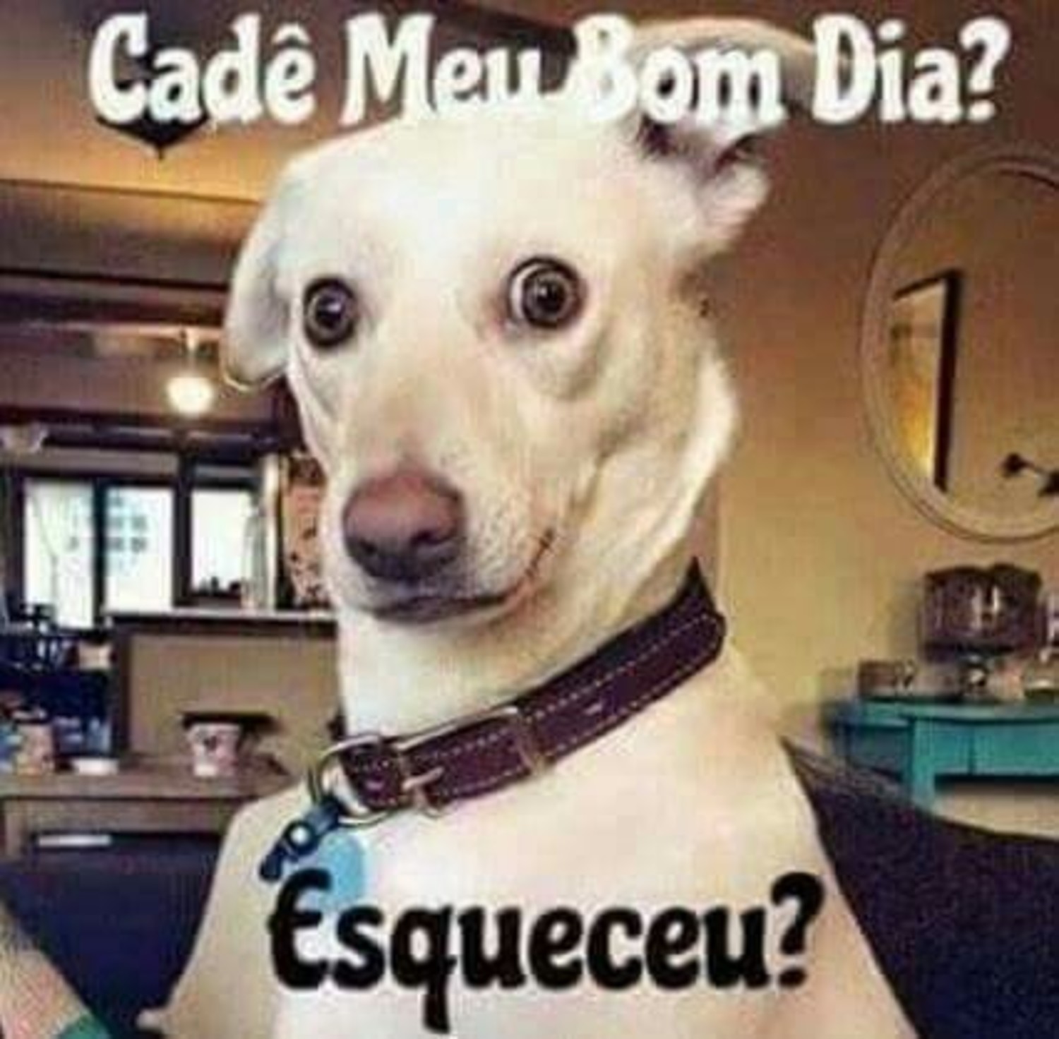 Bom Dia Imagens 1026