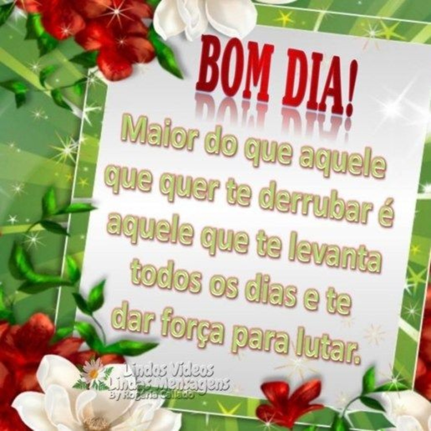 Bom Dia Imagens 1027