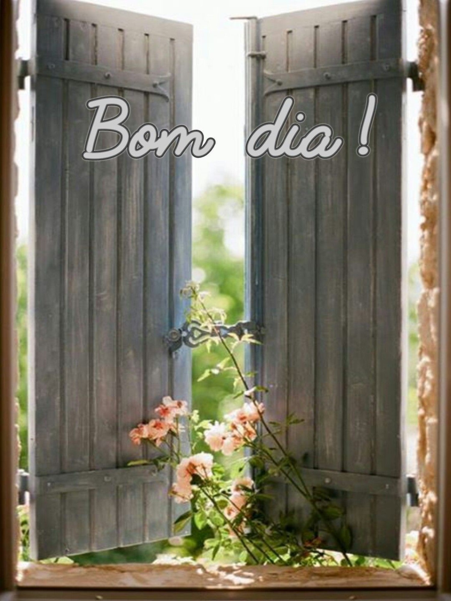Bom Dia Pinterest 567