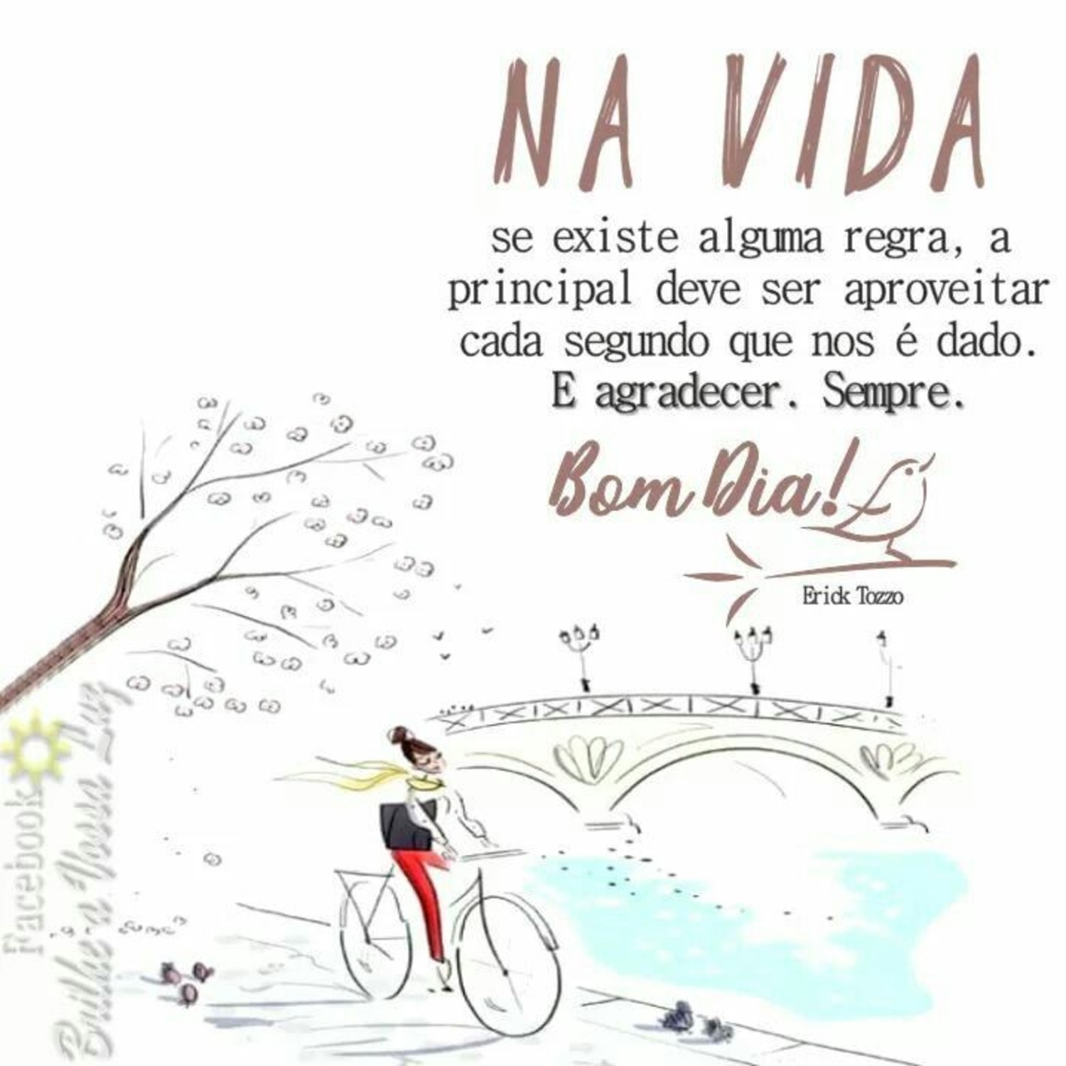 Bom Dia Pinterest 571