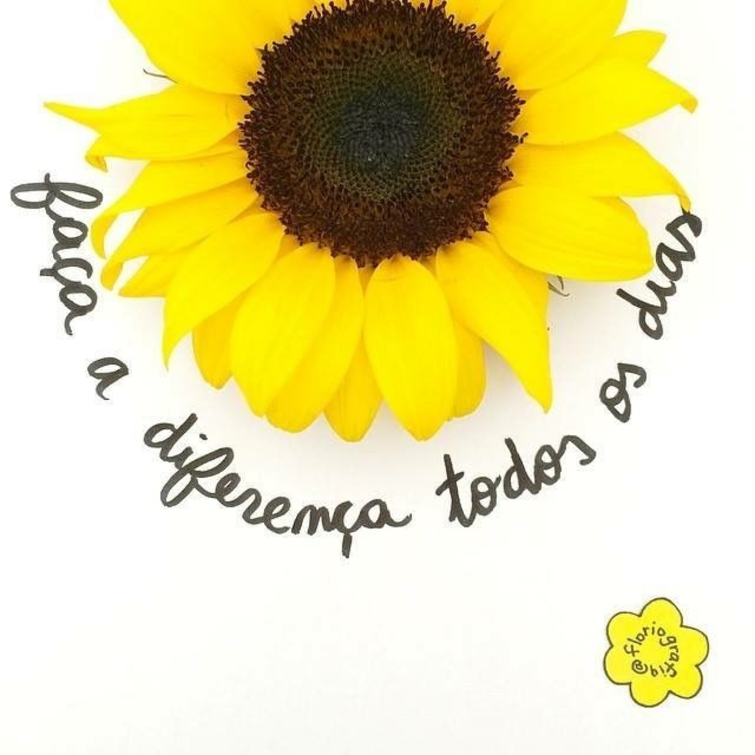 Bom Dia Pinterest imagens 815