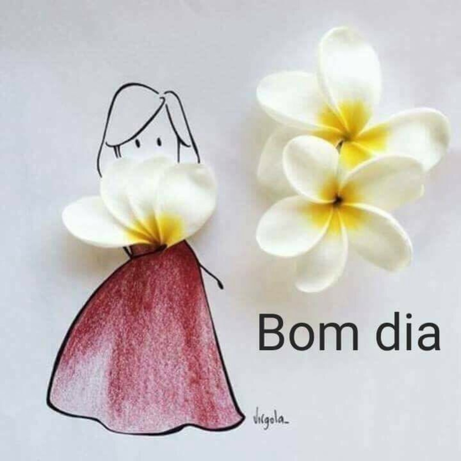 Bom Dia Pinterest imagens 818 Bom Dia Pinterest imagens 818