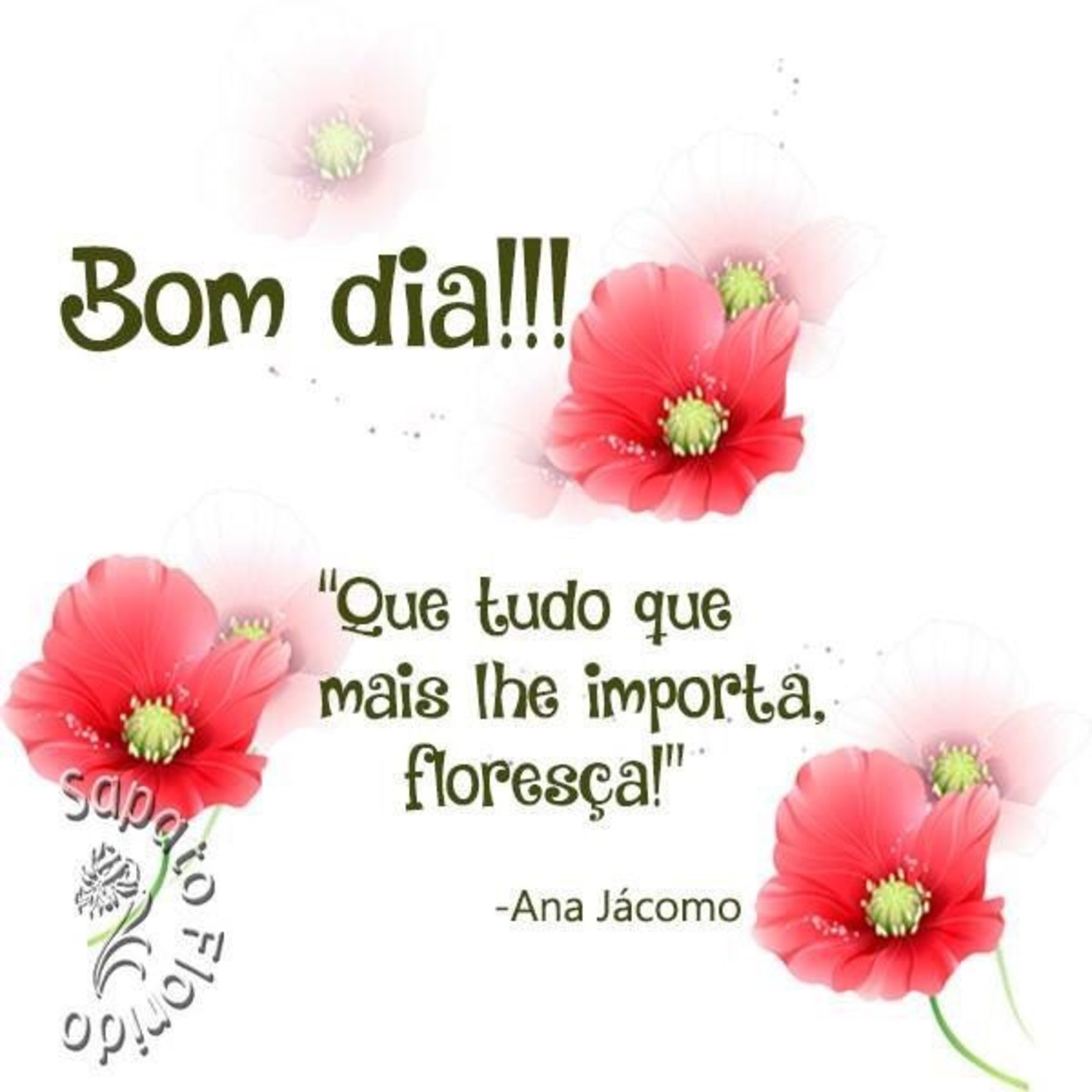 Bom Dia Pinterest imagens 820 Bom Dia Pinterest imagens 820