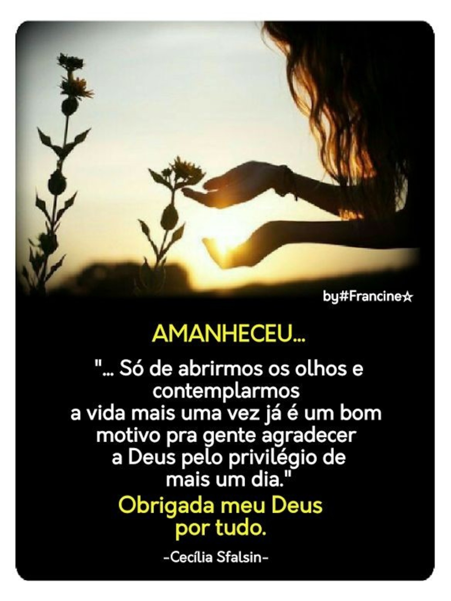 Bom Dia WhatsApp 588