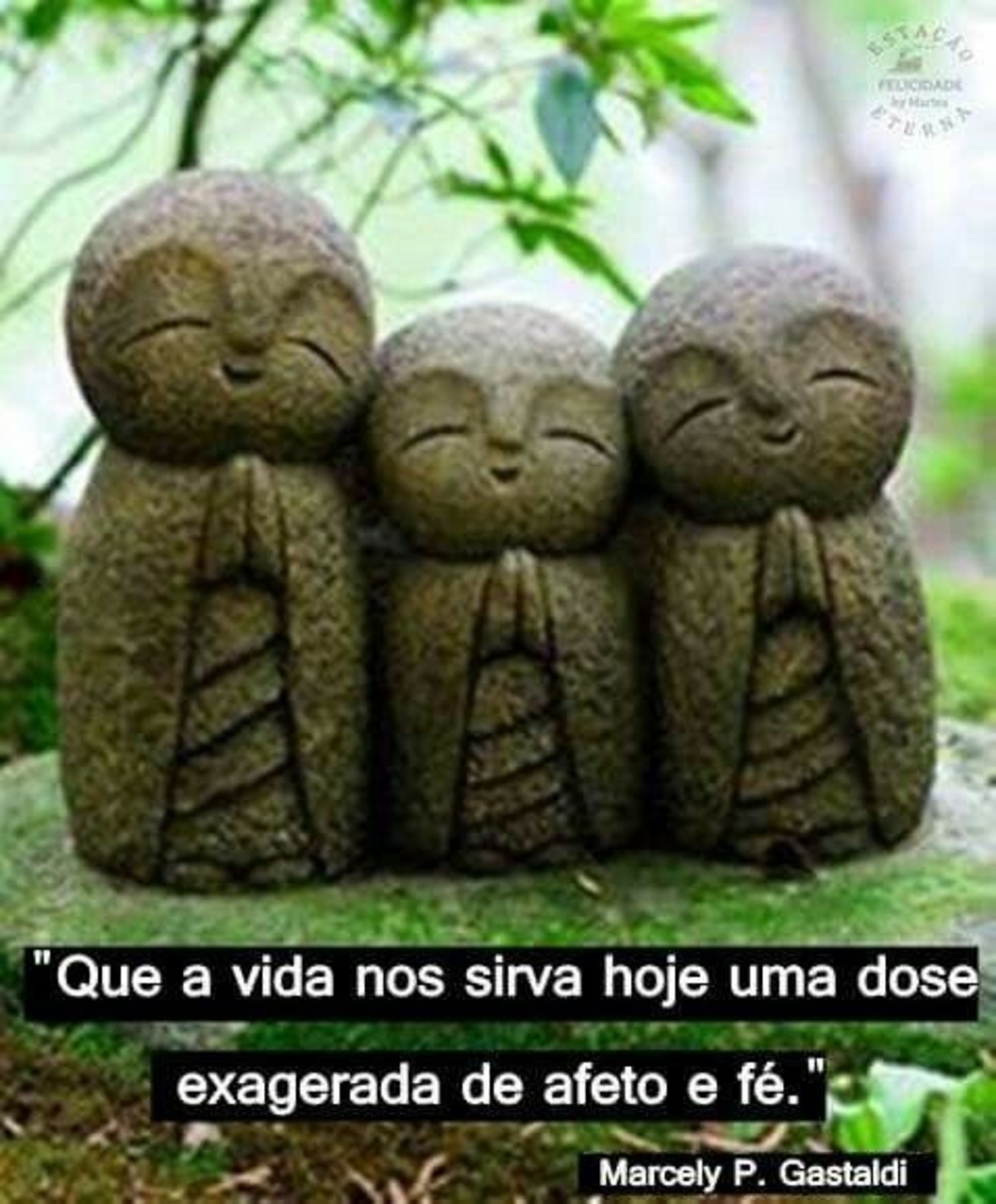 Bom Dia WhatsApp 590