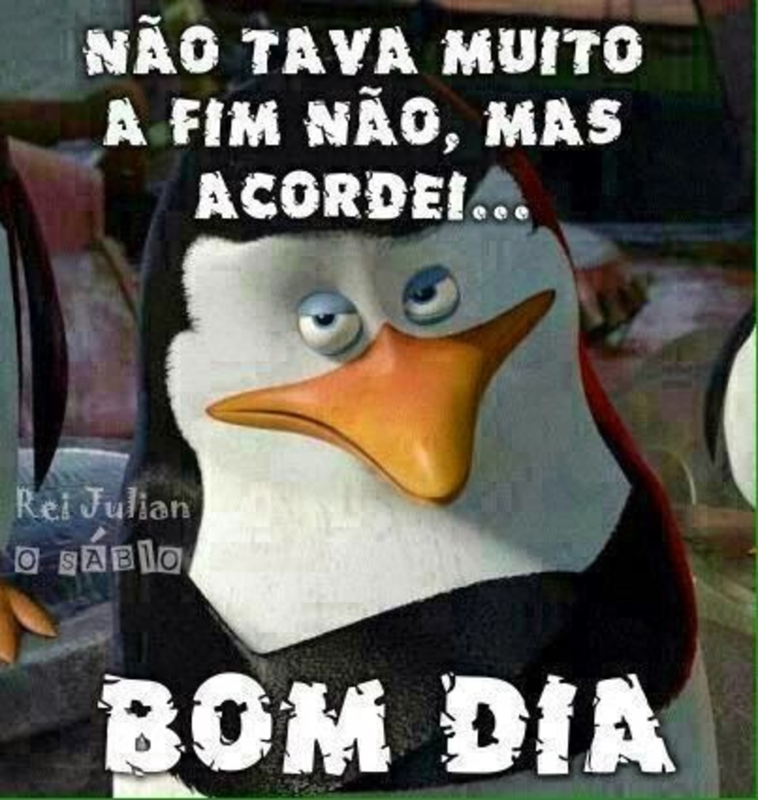 Bom Dia WhatsApp engraçado 626 Bom Dia WhatsApp engraçado 626