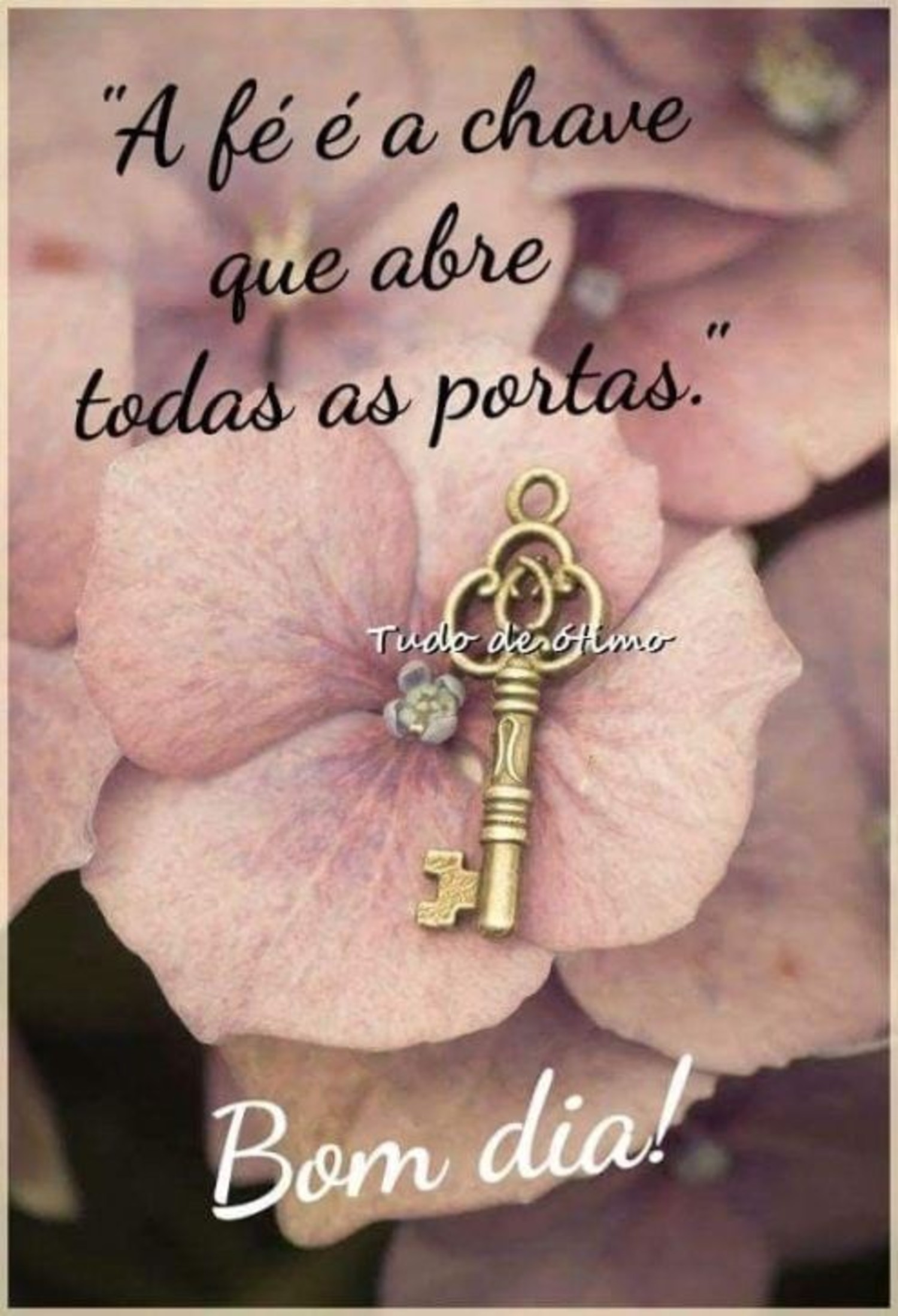 Bom Dia a todos 545