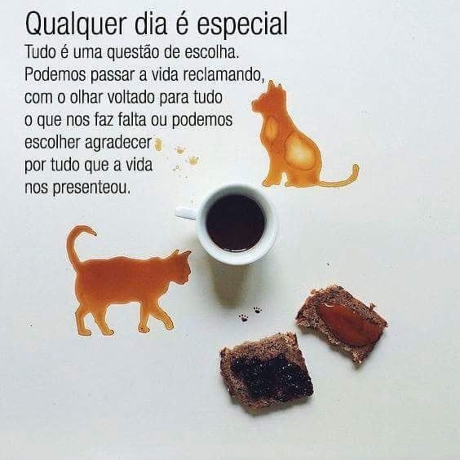 Bom Dia a todos 549