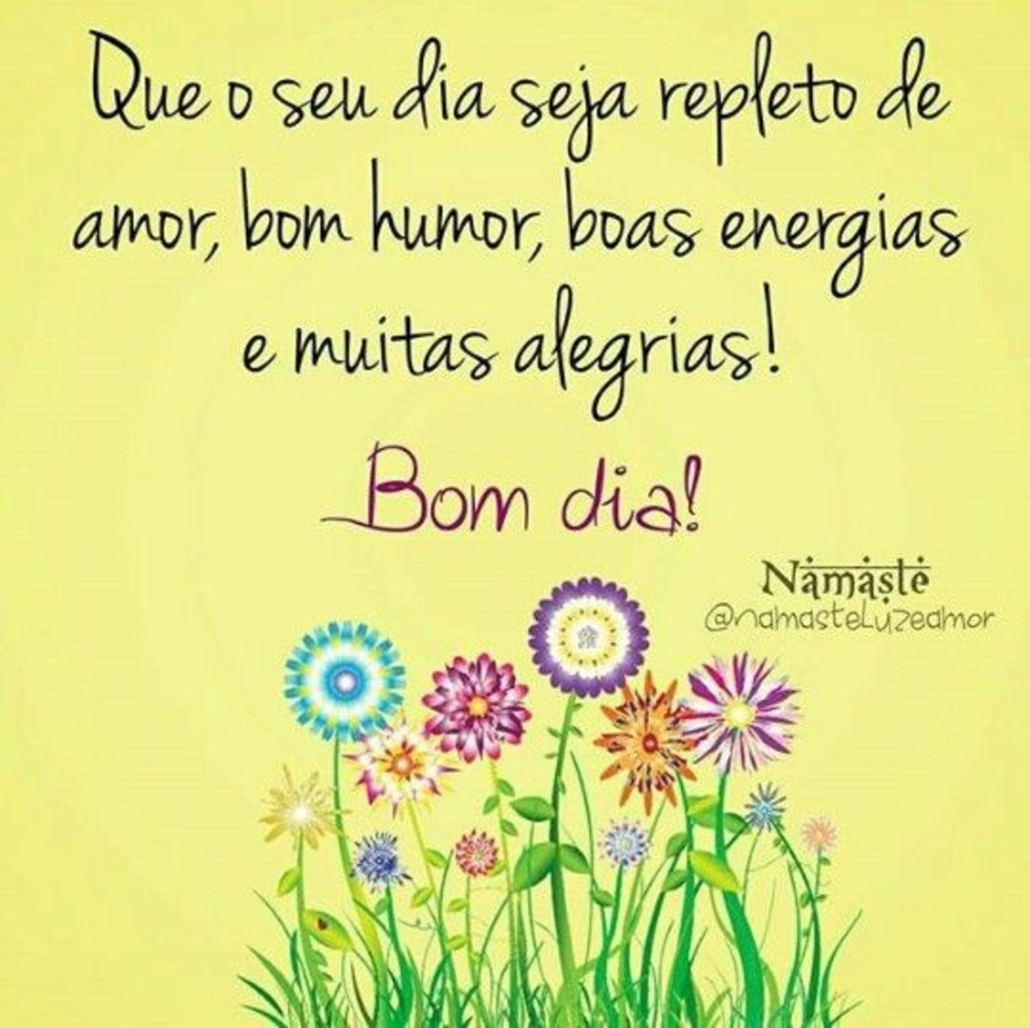 Bom Dia a todos 556