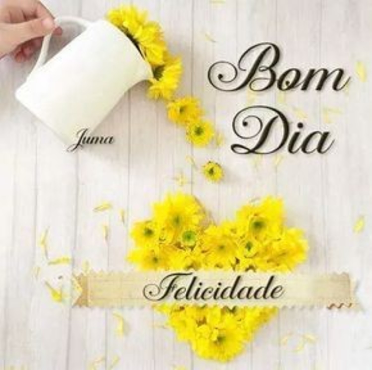 Bom Dia a todos 557