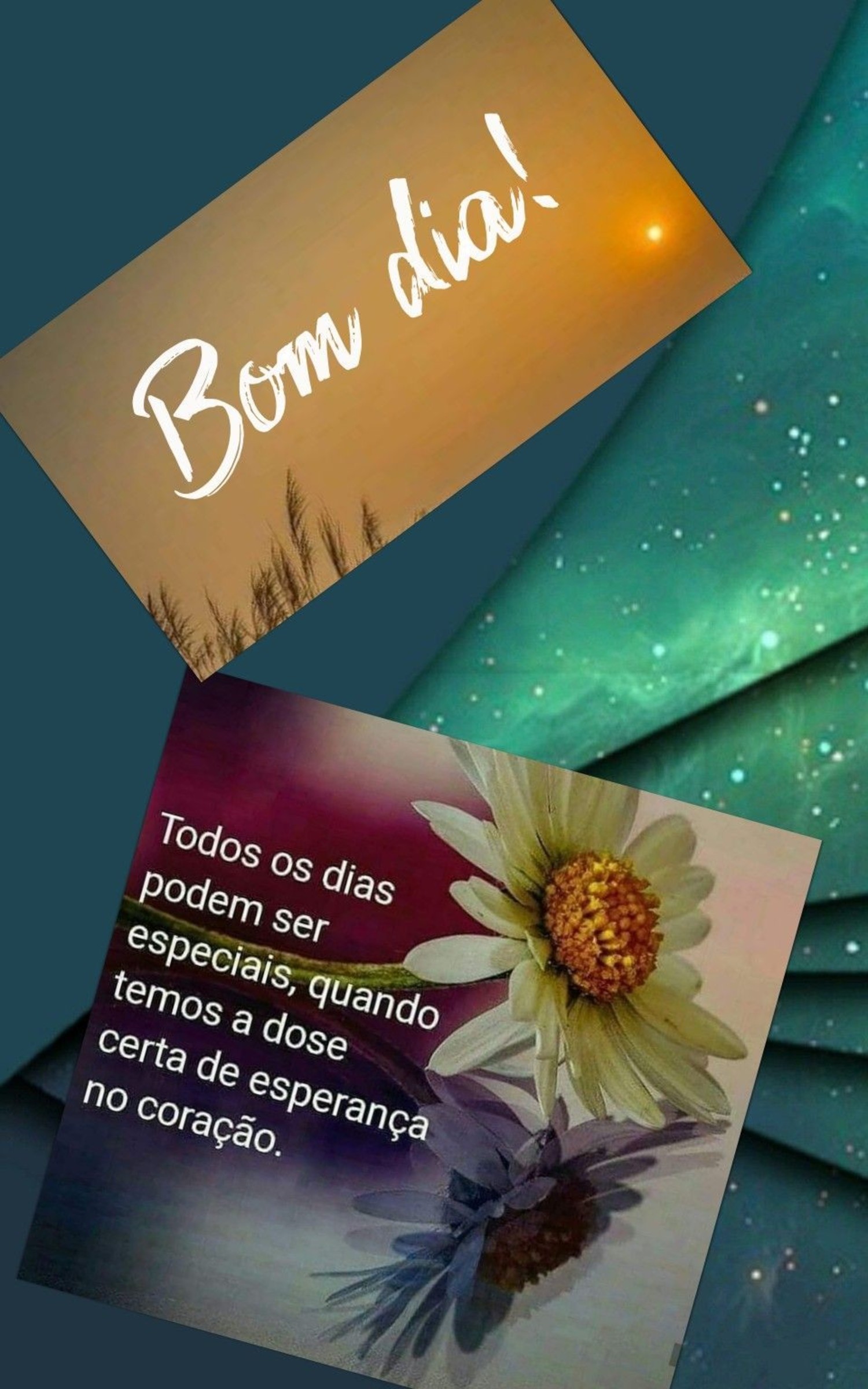 Bom Dia a todos 558