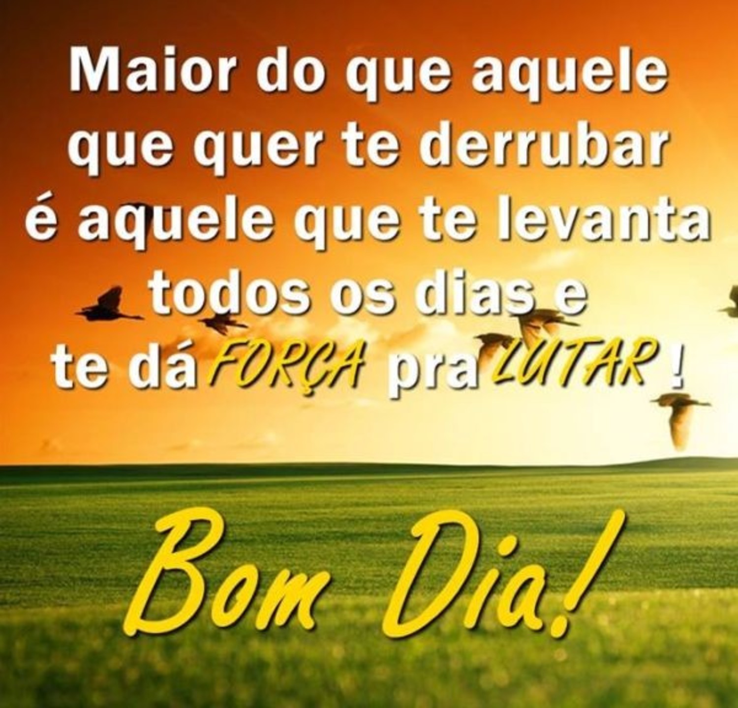 Bom Dia abençoado Facebook WhatsApp 618