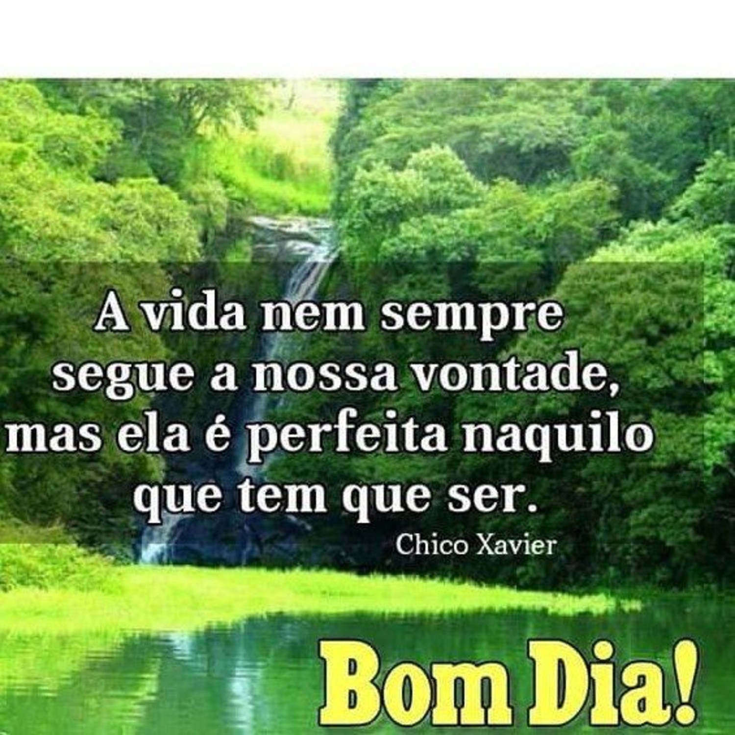 Bom Dia abençoado Facebook WhatsApp 625