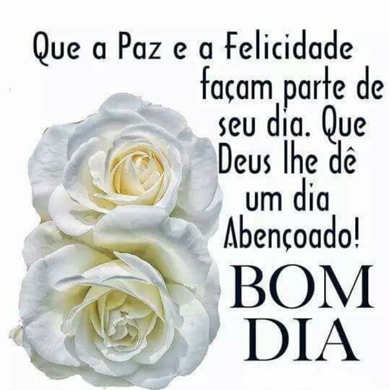 Bom Dia abençoado Facebook WhatsApp 627