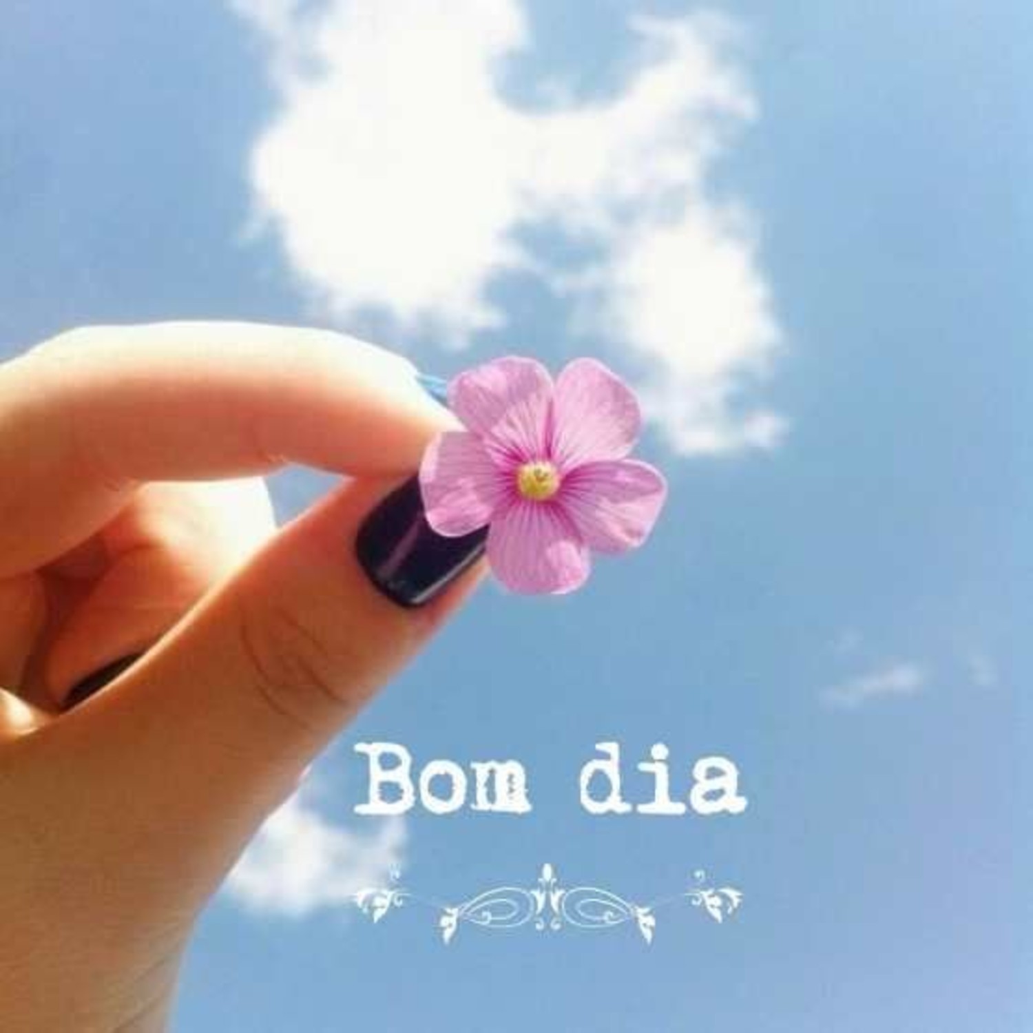 Bom Dia abençoado Facebook WhatsApp 629