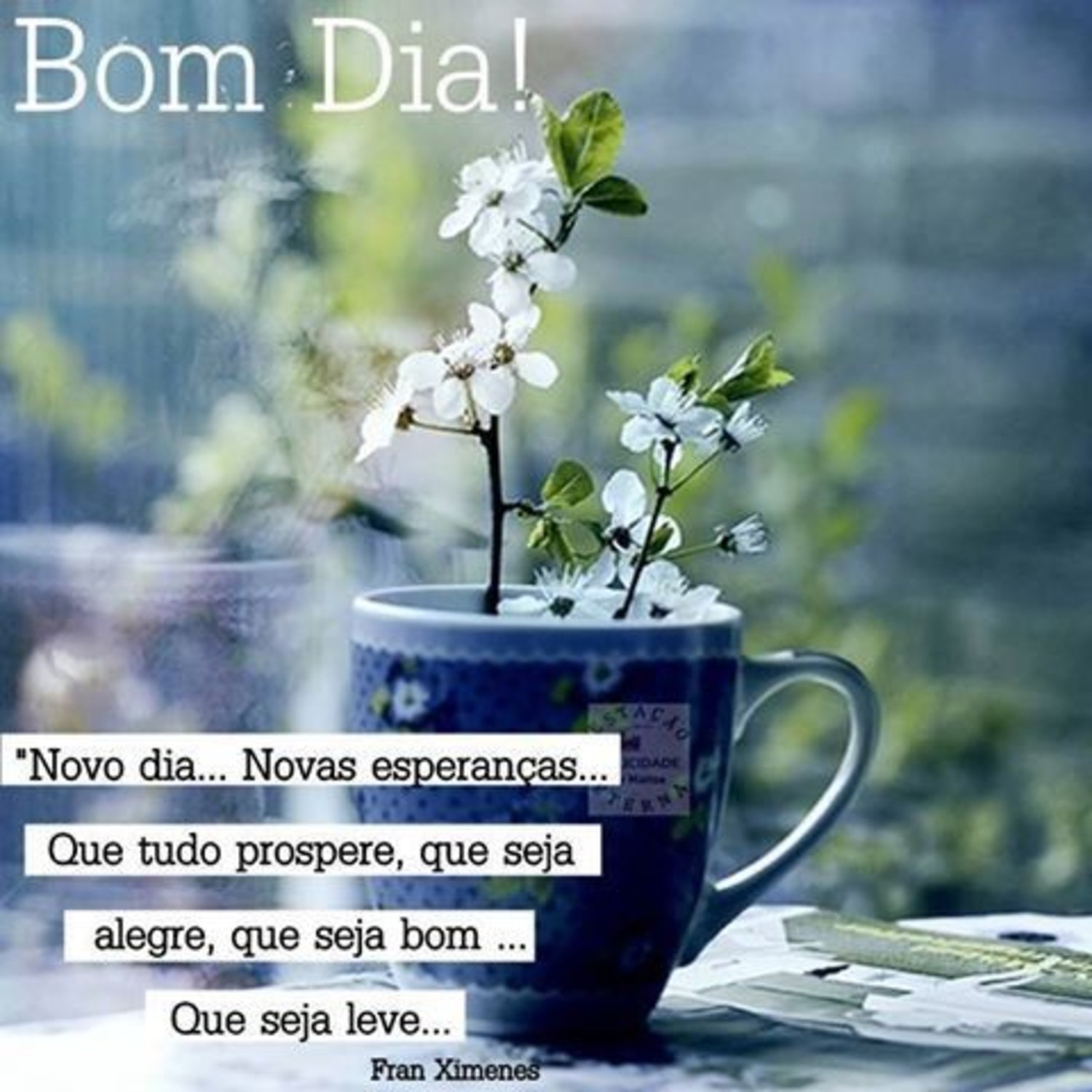 Bom Dia alegria 653