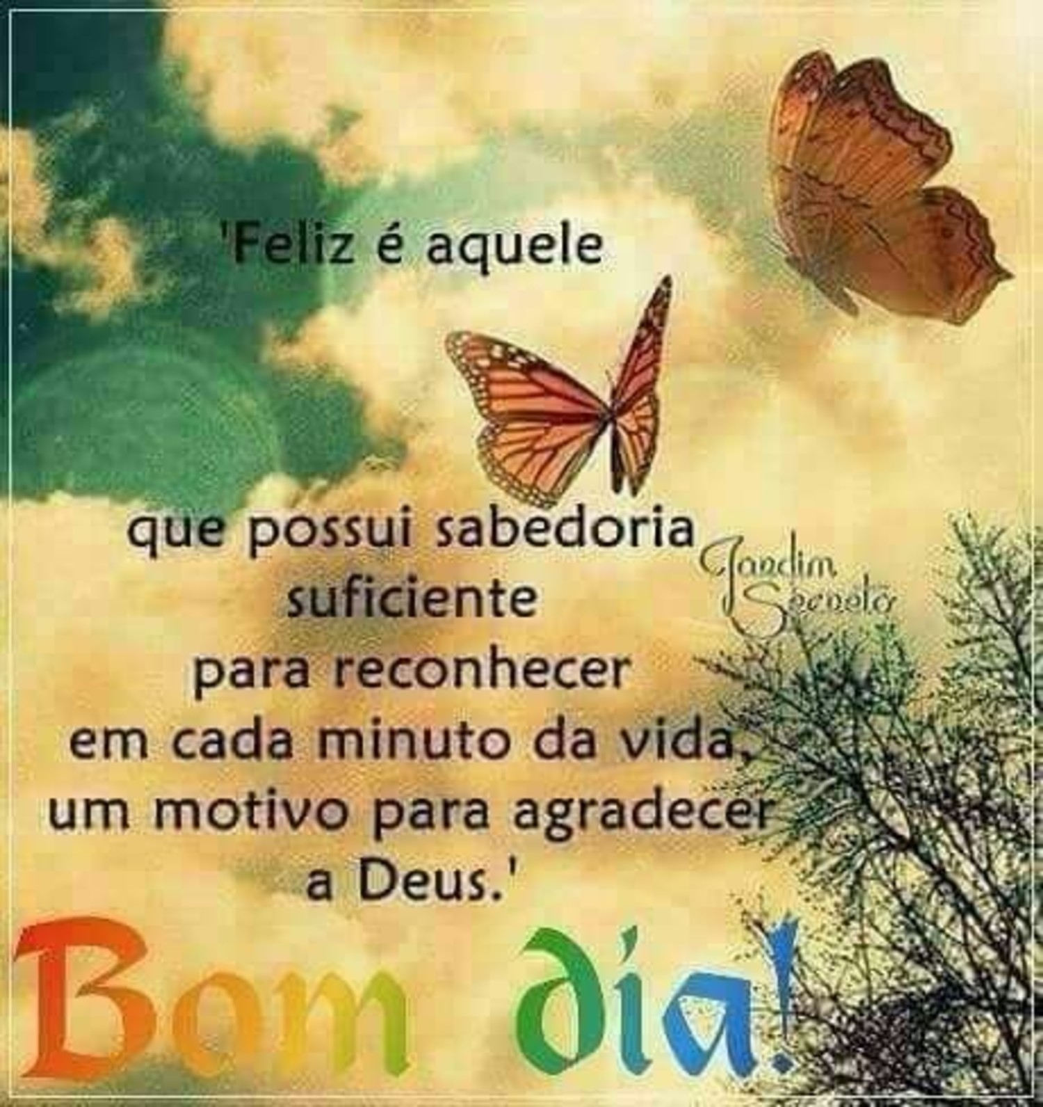 Bom Dia alegria 654