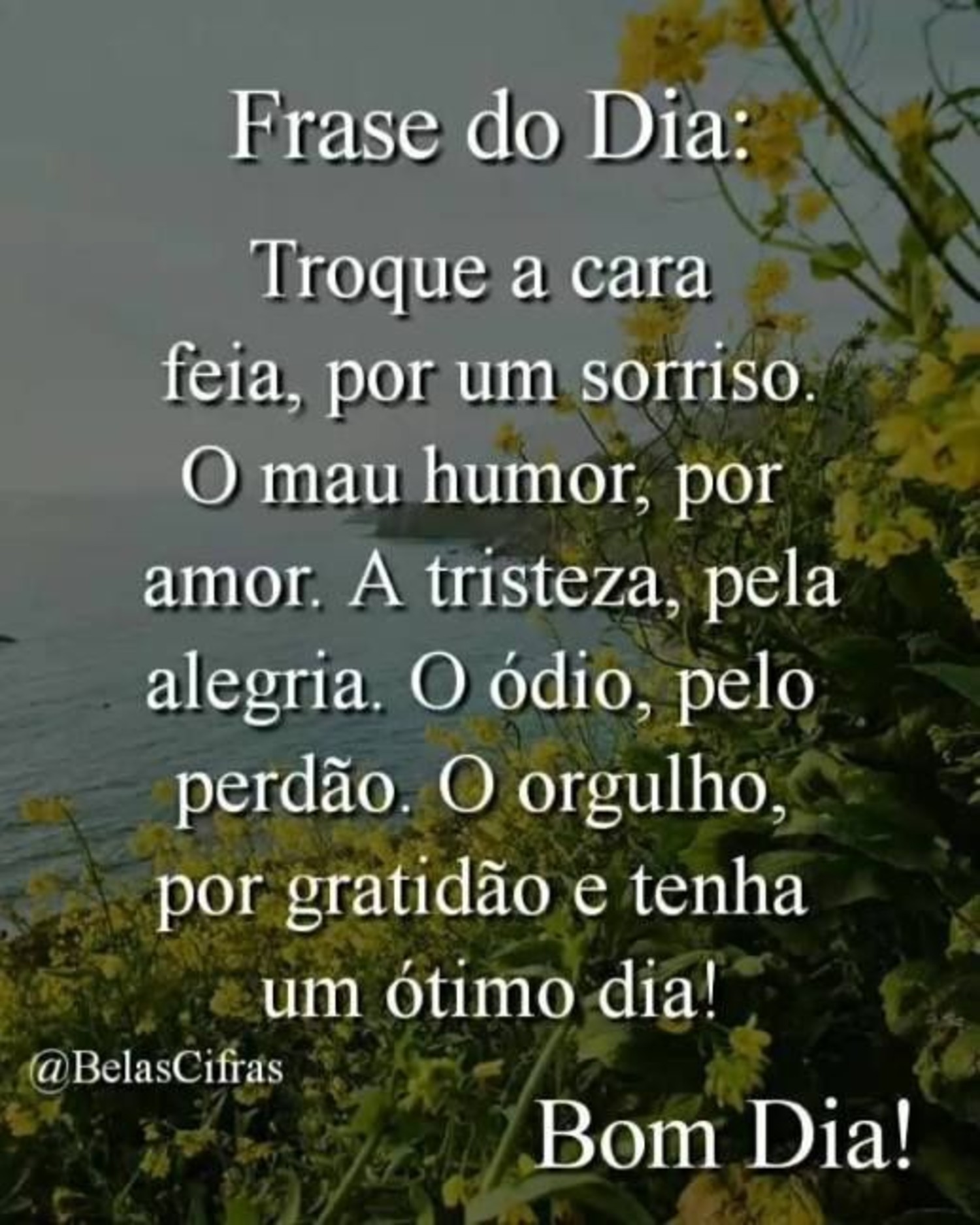 Bom Dia alegria 658 Archives Bom Dia alegria 658 Archives