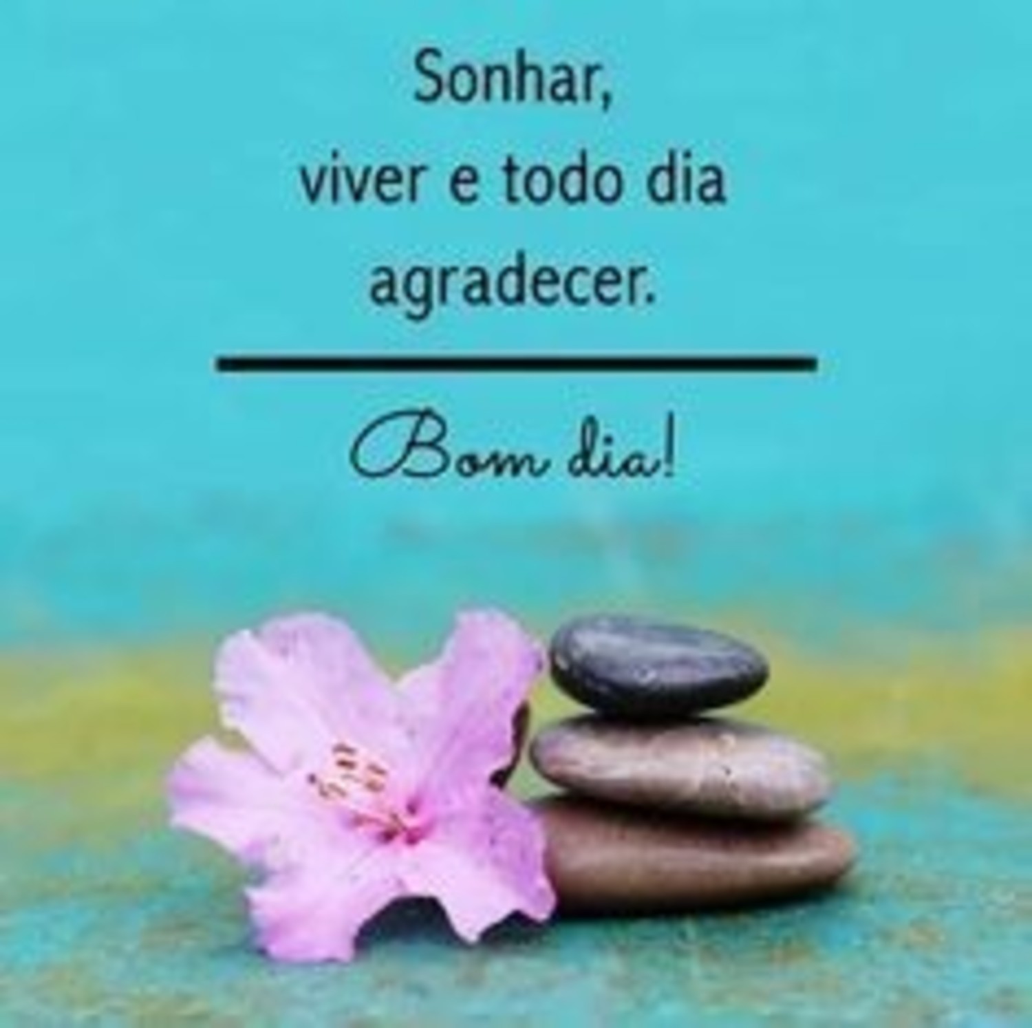 Bom Dia alegria 662