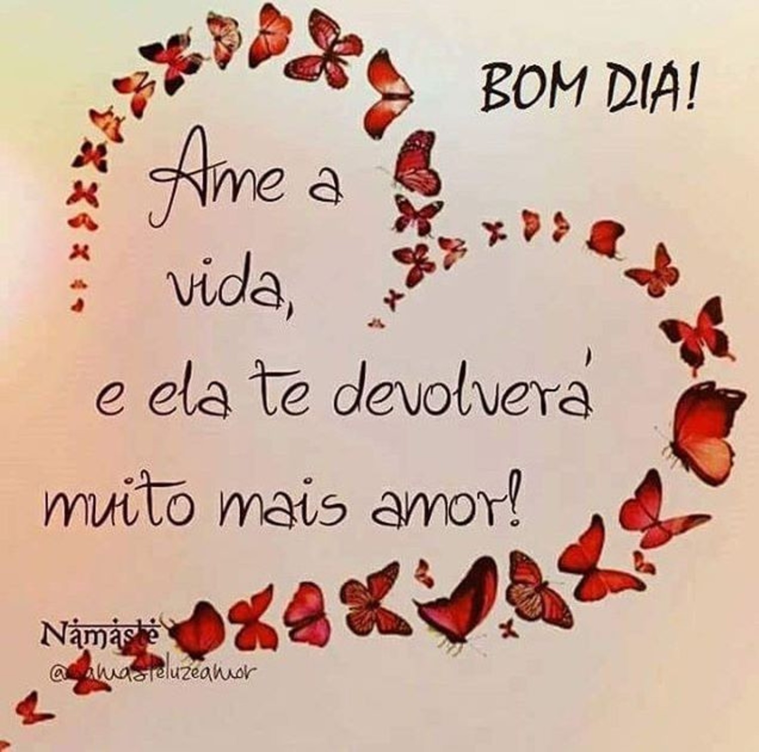 Bom Dia amigos 604