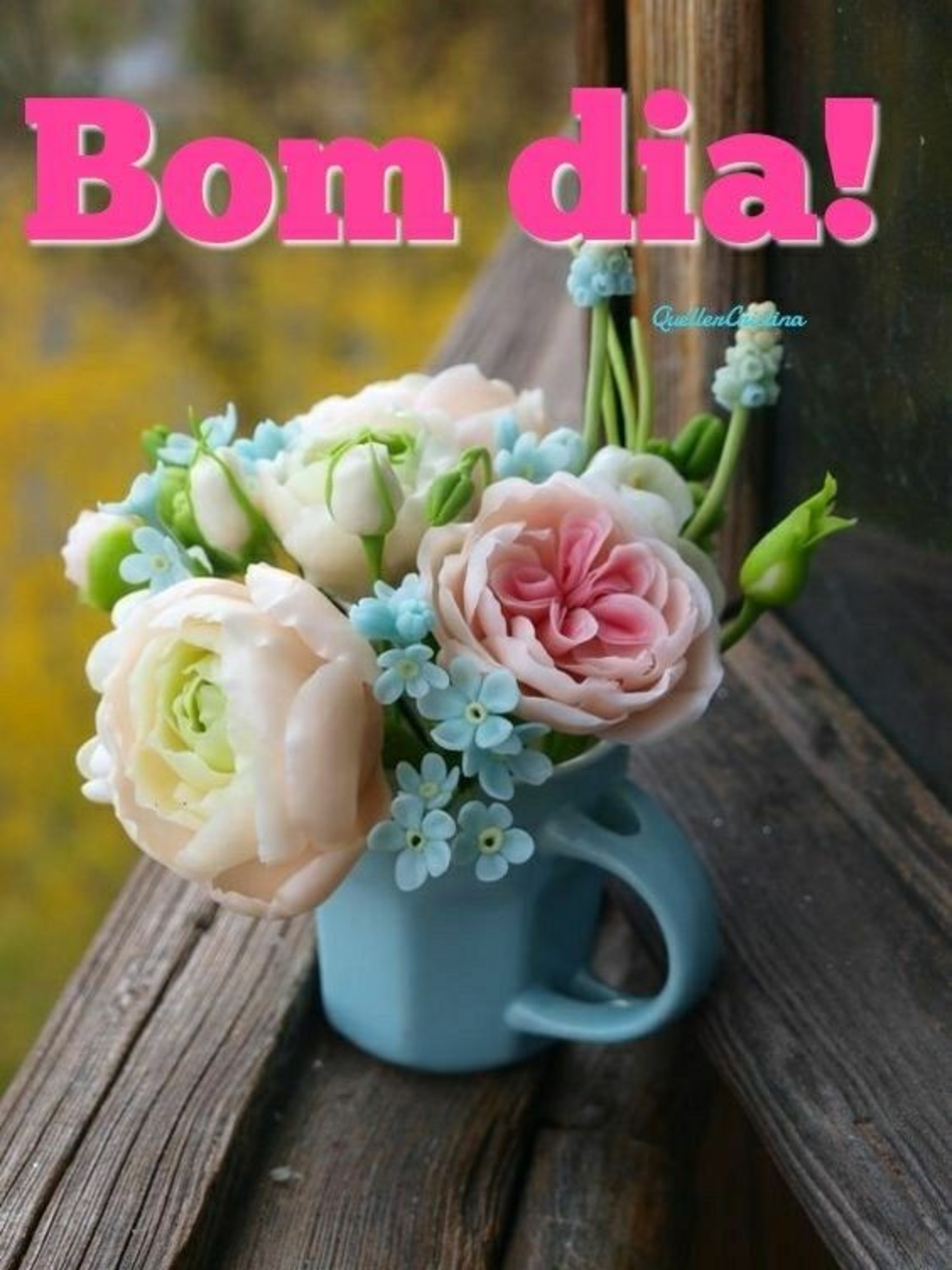 Bom Dia amigos 607