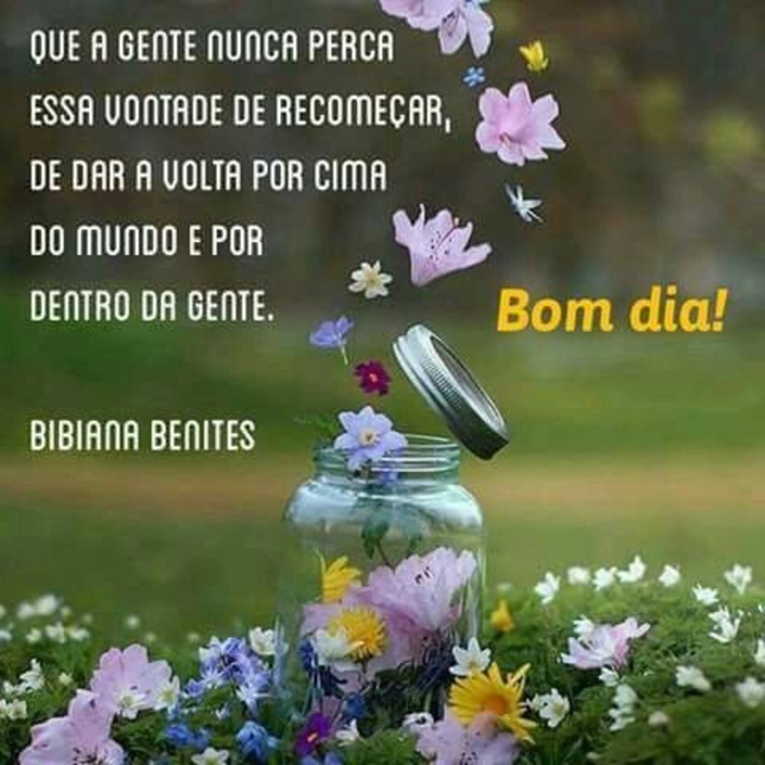 Bom Dia amigos 610