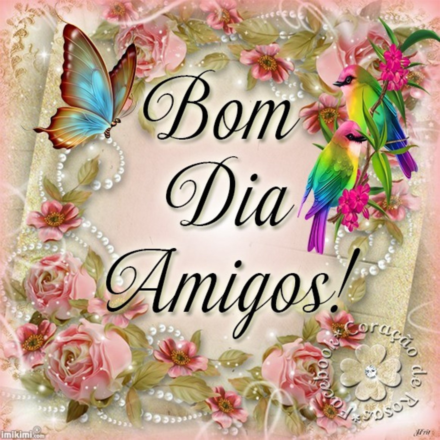 Bom Dia amigos 646