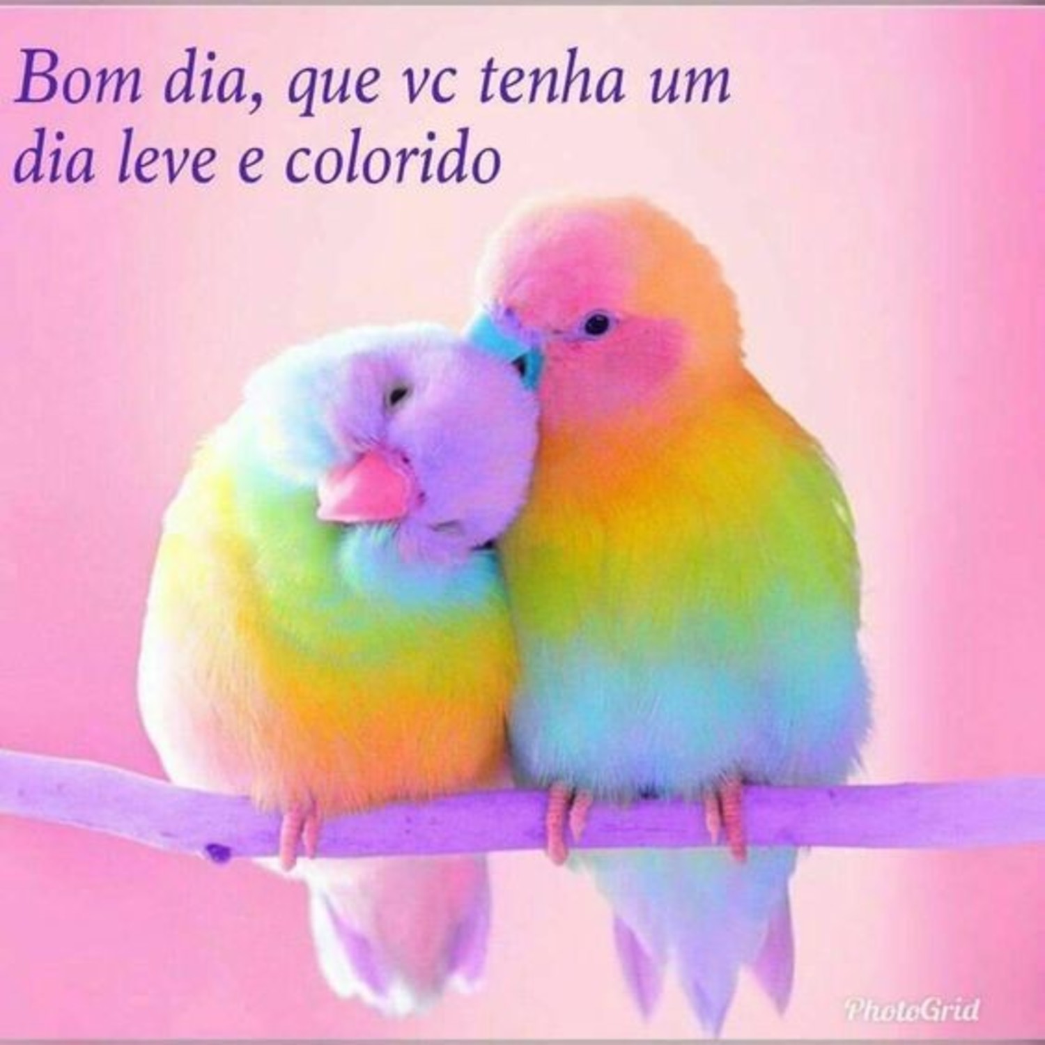 Bom Dia amor 965