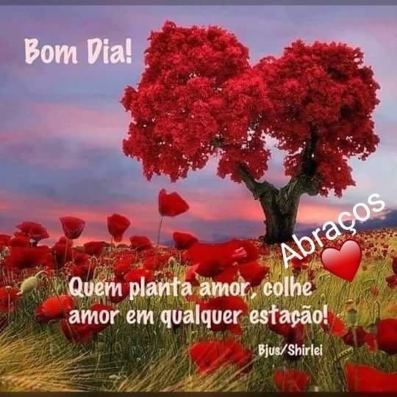 Bom Dia amor imagens 753 Bom Dia amor imagens 753