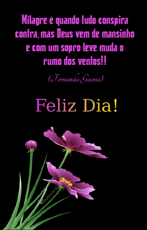 Bom Dia animado 516