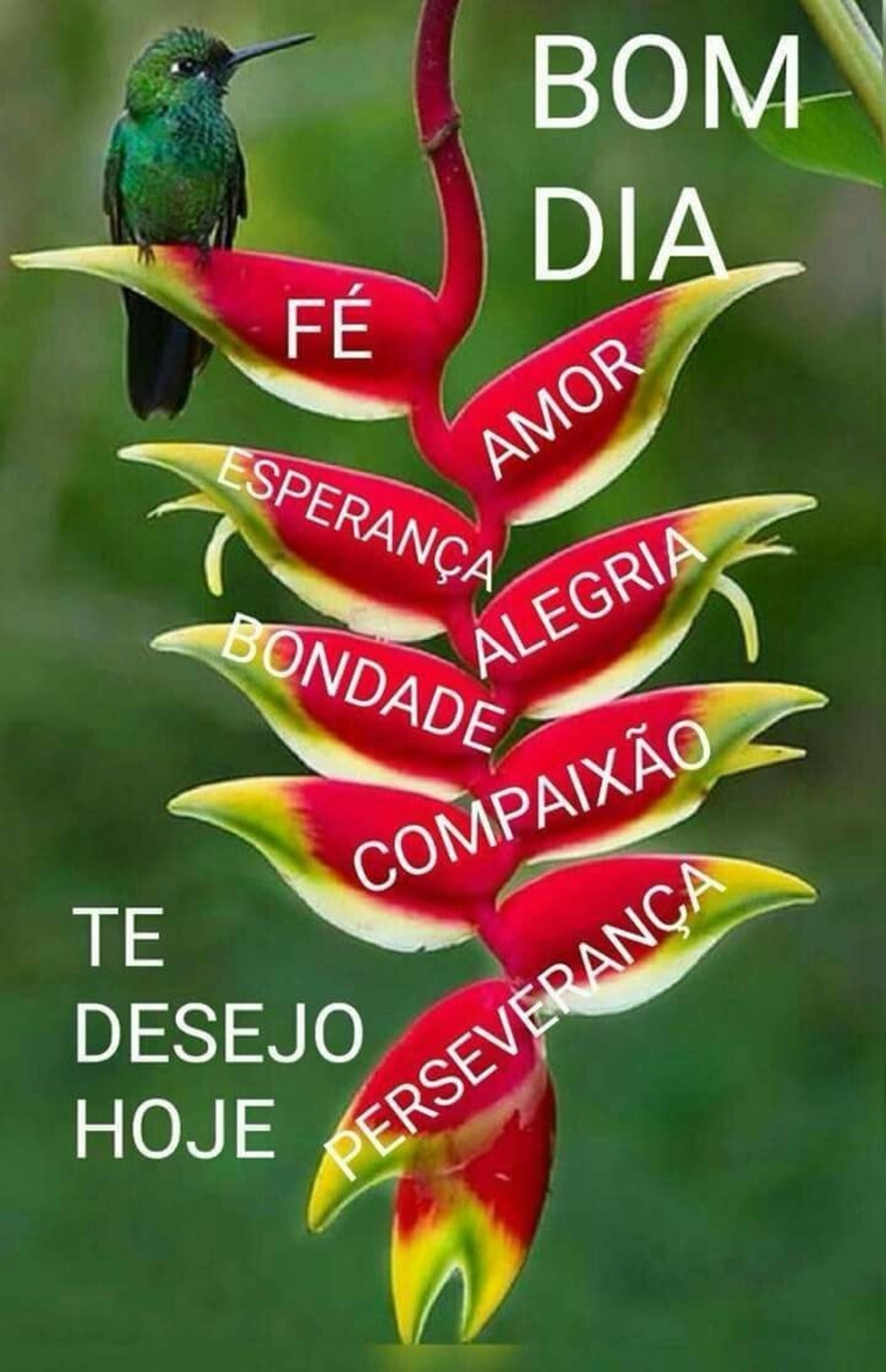 Bom Dia com café 686