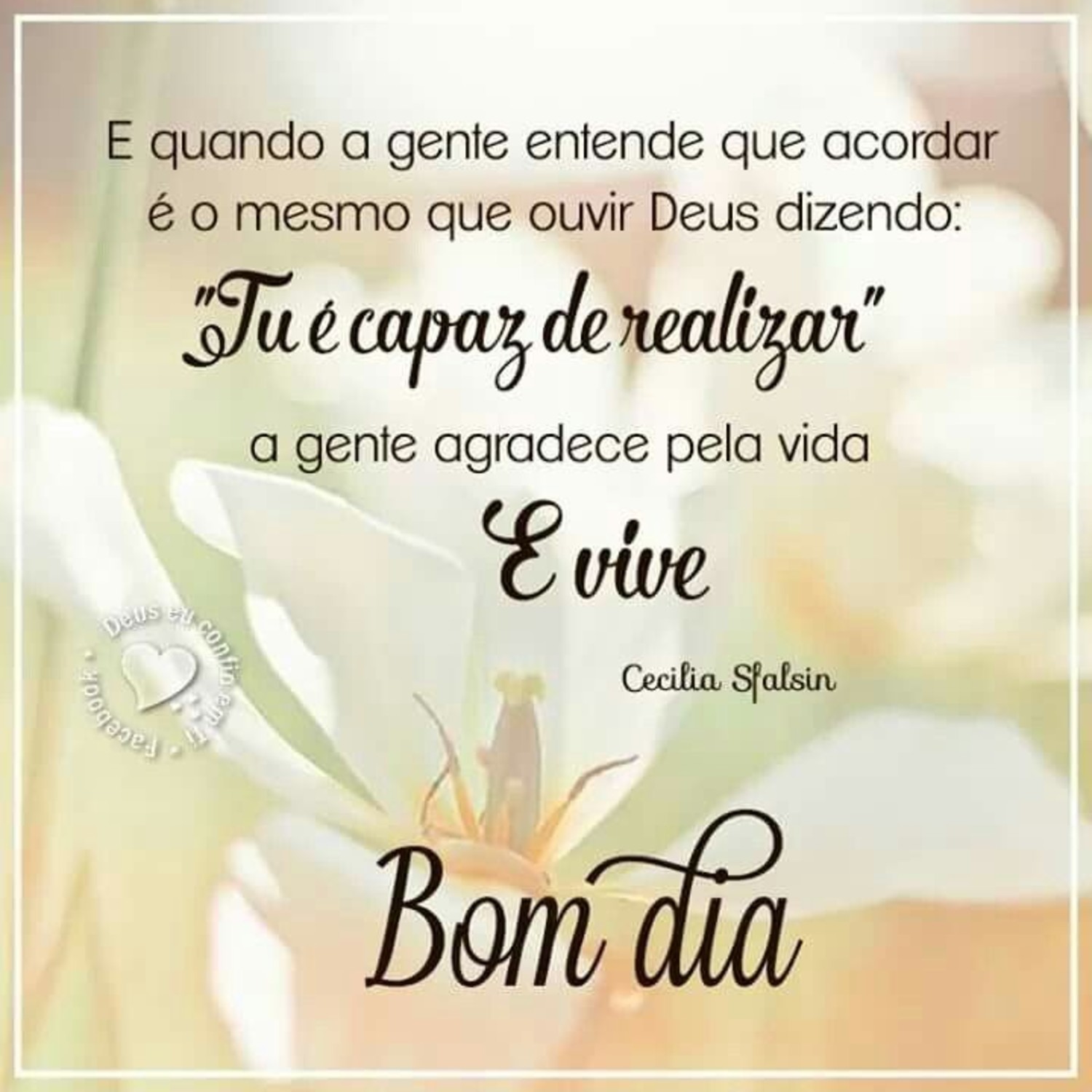 Bom Dia com café 695