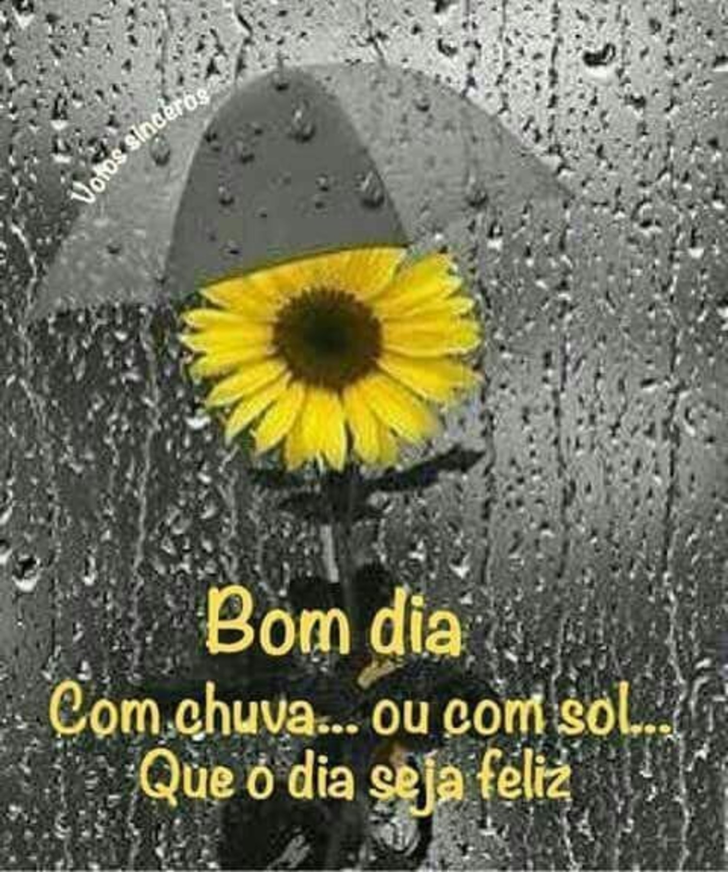 Bom Dia com chuva lindas imagens 727