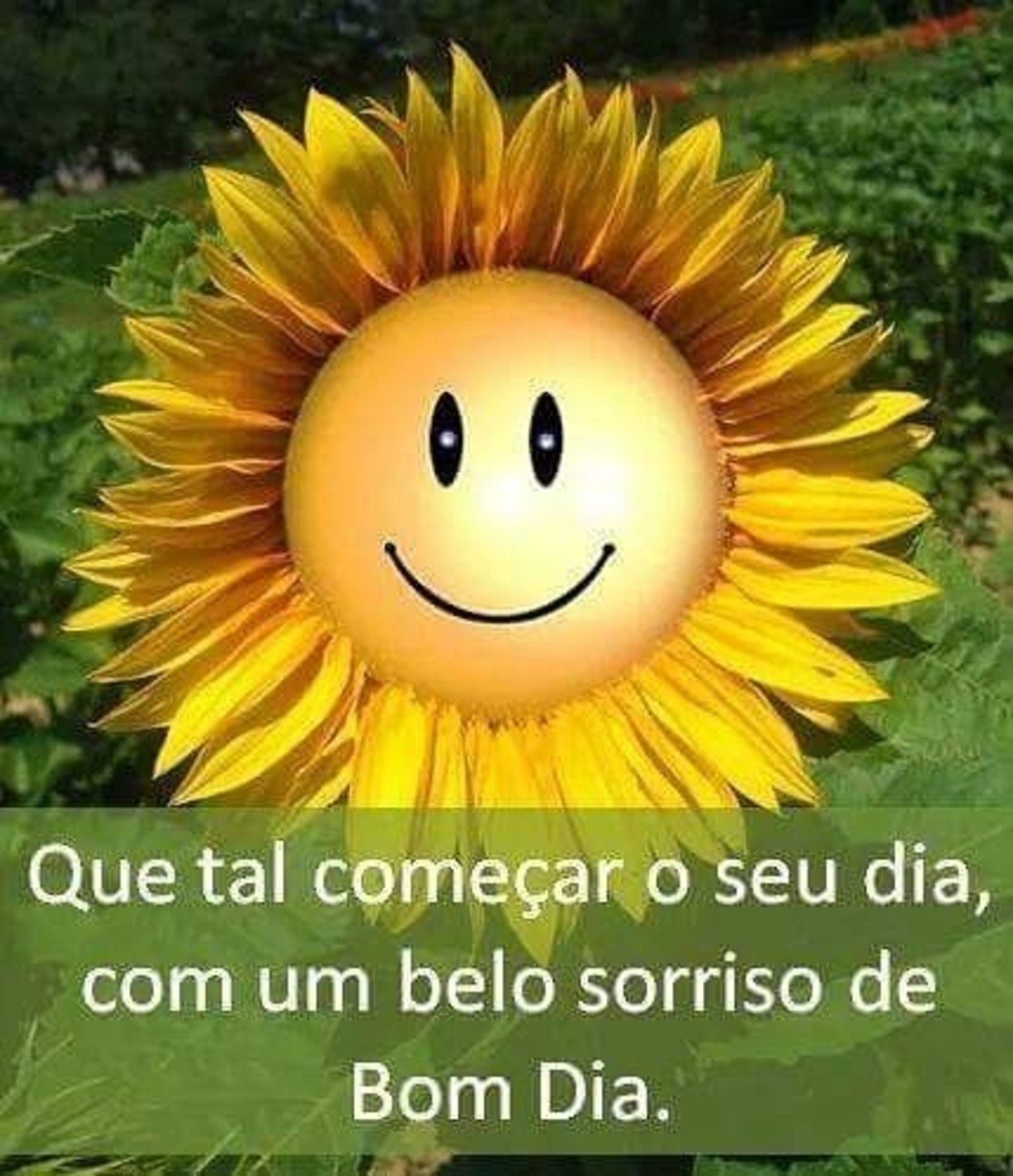 Bom Dia com mensagem de reflexão 923